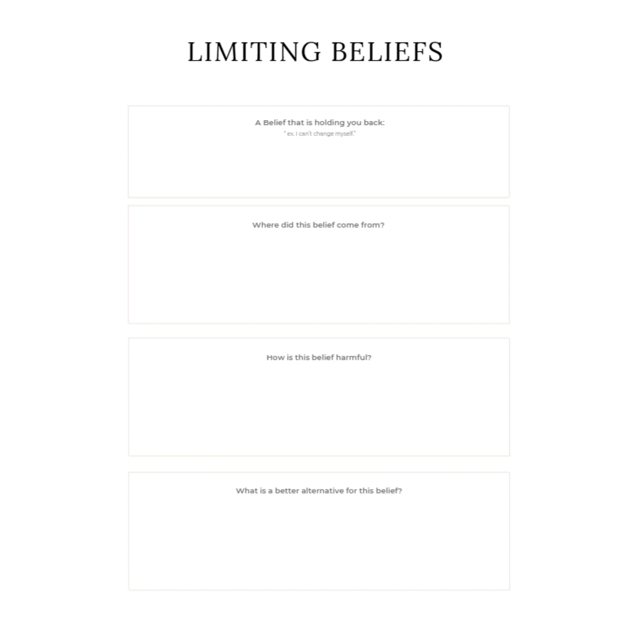 Abundance Journal Bundle - Image 3
