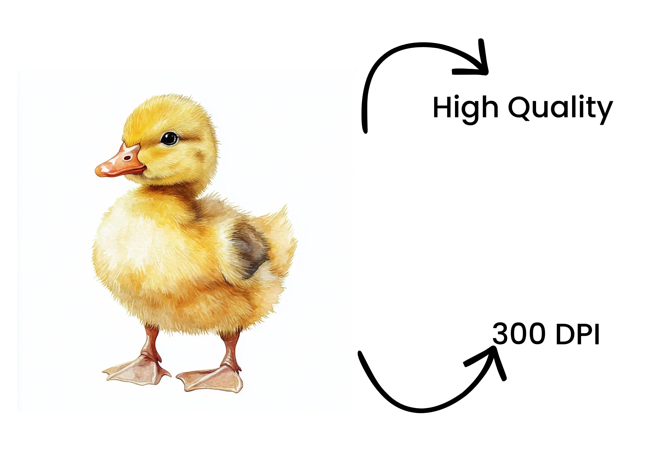 Adorable Baby Duckling Clipart Bundle - Image 4