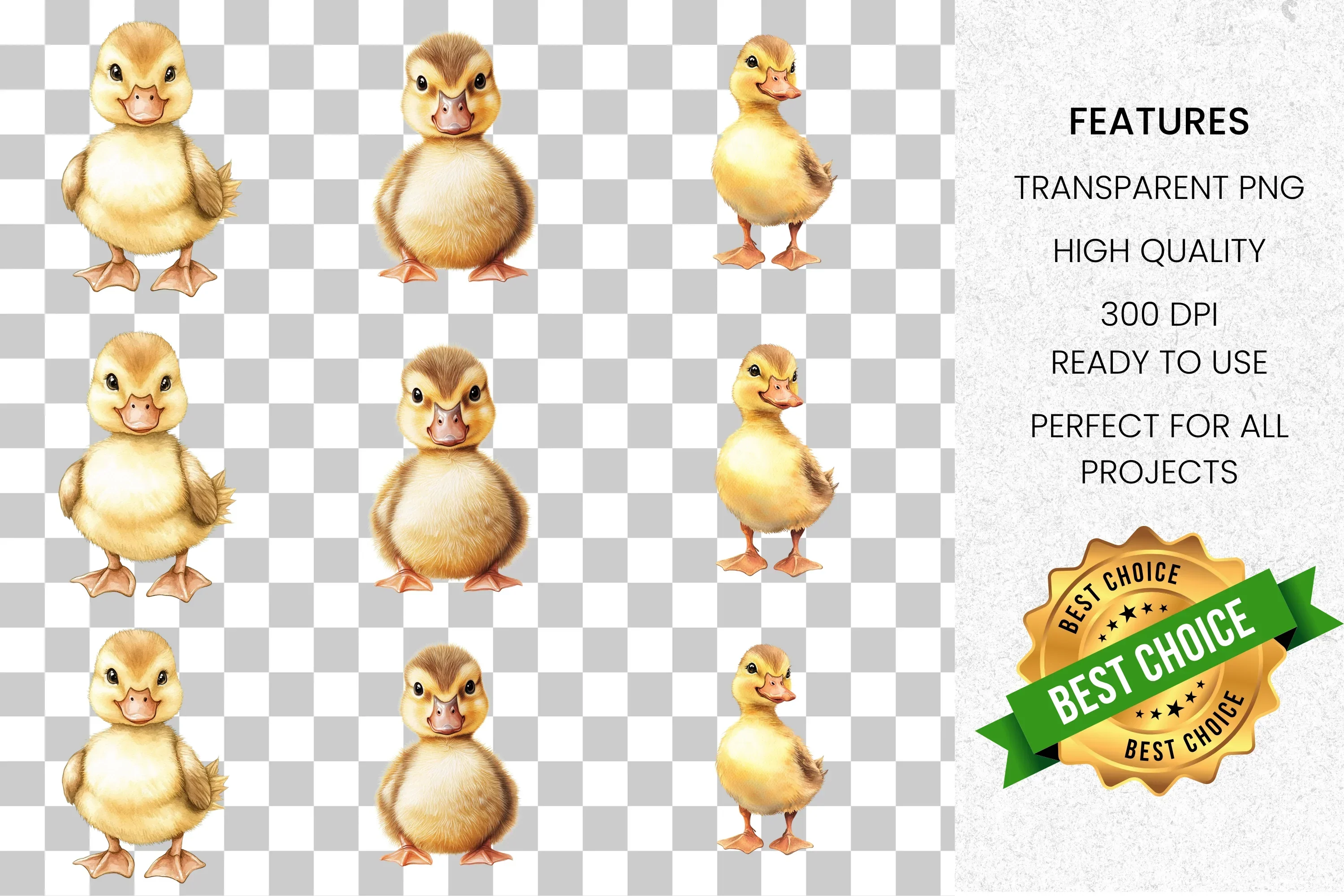 Adorable Baby Ducklings Clipart Bundle - Image 8
