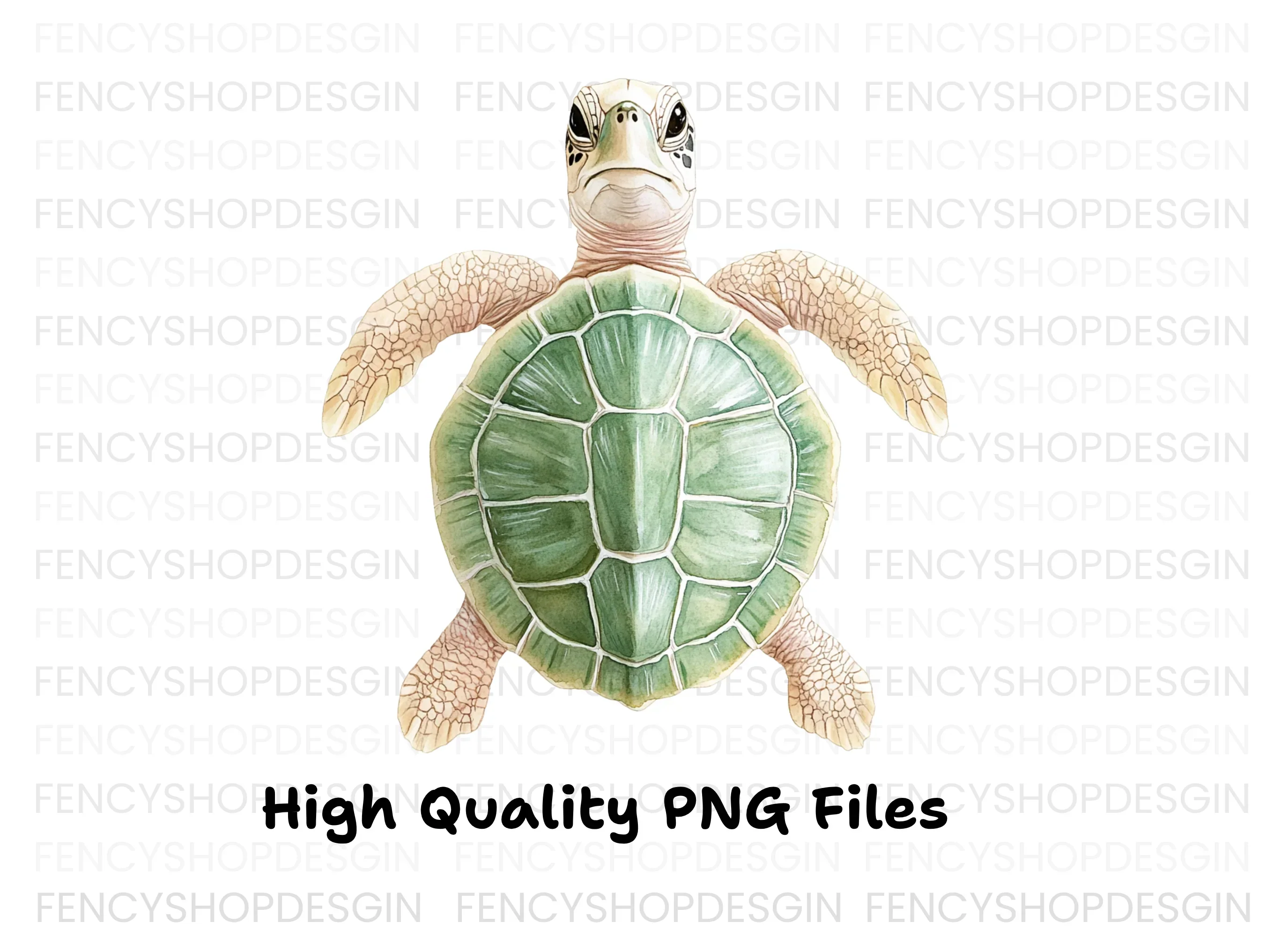 Adorable Baby Sea Turtle Clipart Bundle - Image 3