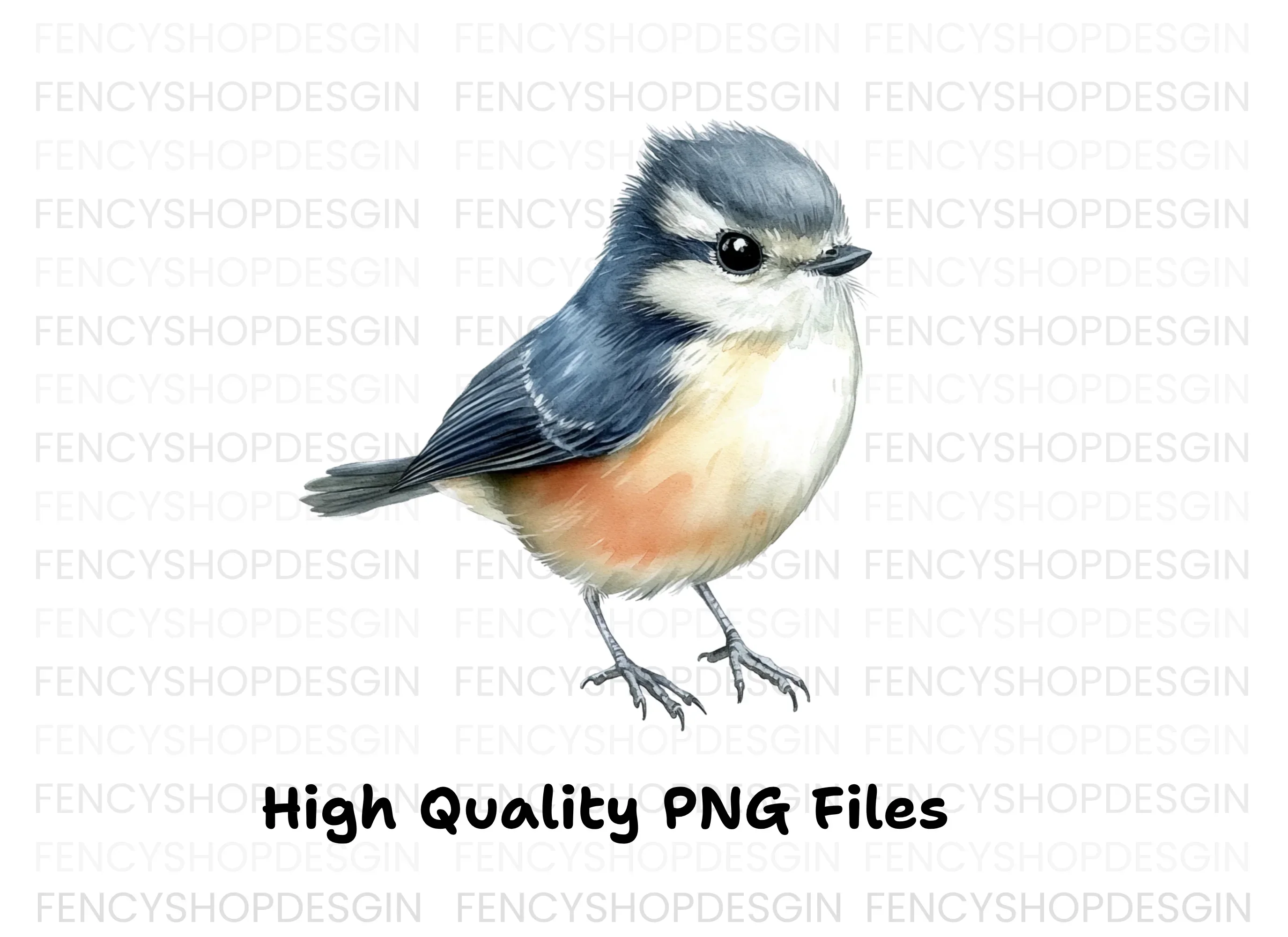 Adorable Blue and Orange Bird Clipart Bundle - Image 2