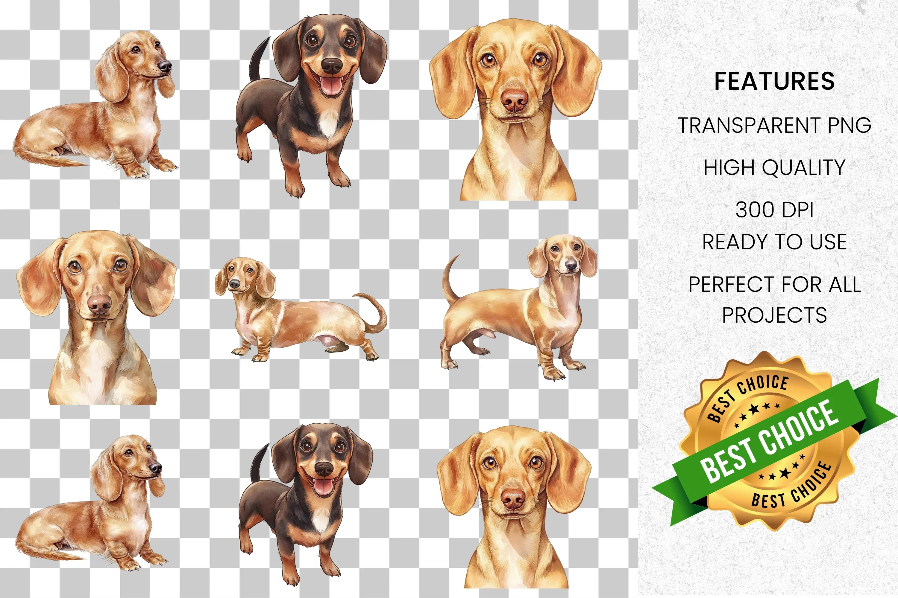 Adorable Dachshund Dog Clipart Bundle - Image 6