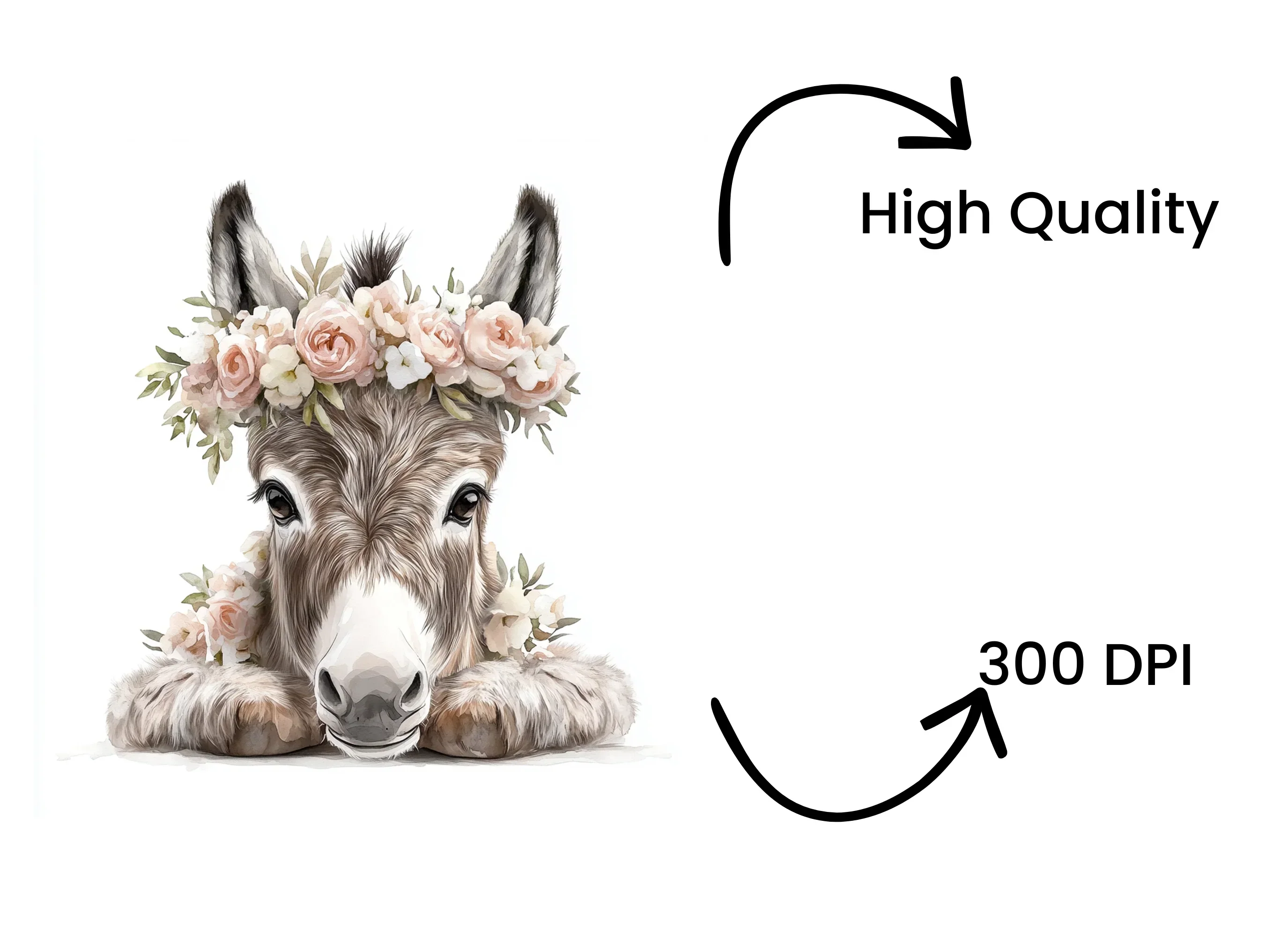 Adorable Donkey with Floral Crown Clipart Bundle - Image 4