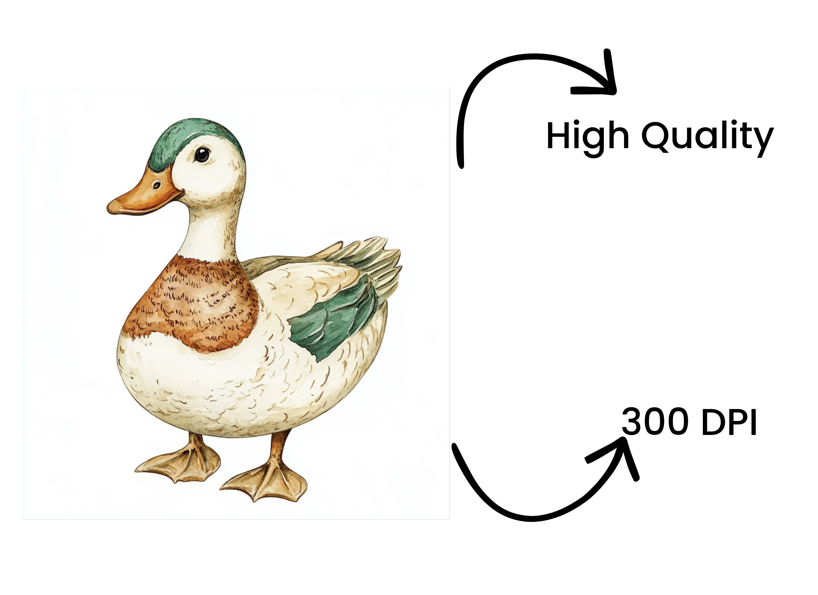 Adorable Duck Clipart Bundle - Image 4