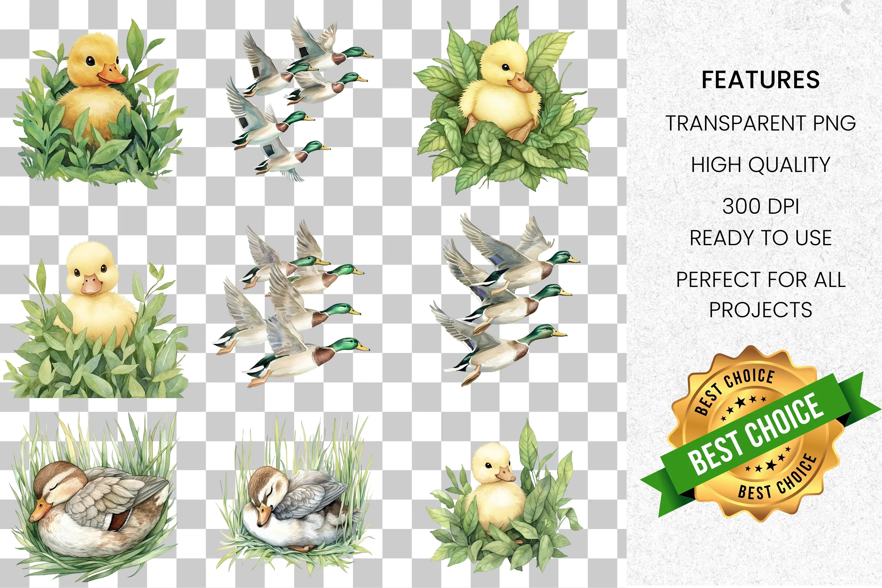 Adorable Duckling and Duck Clipart Bundle - Image 2
