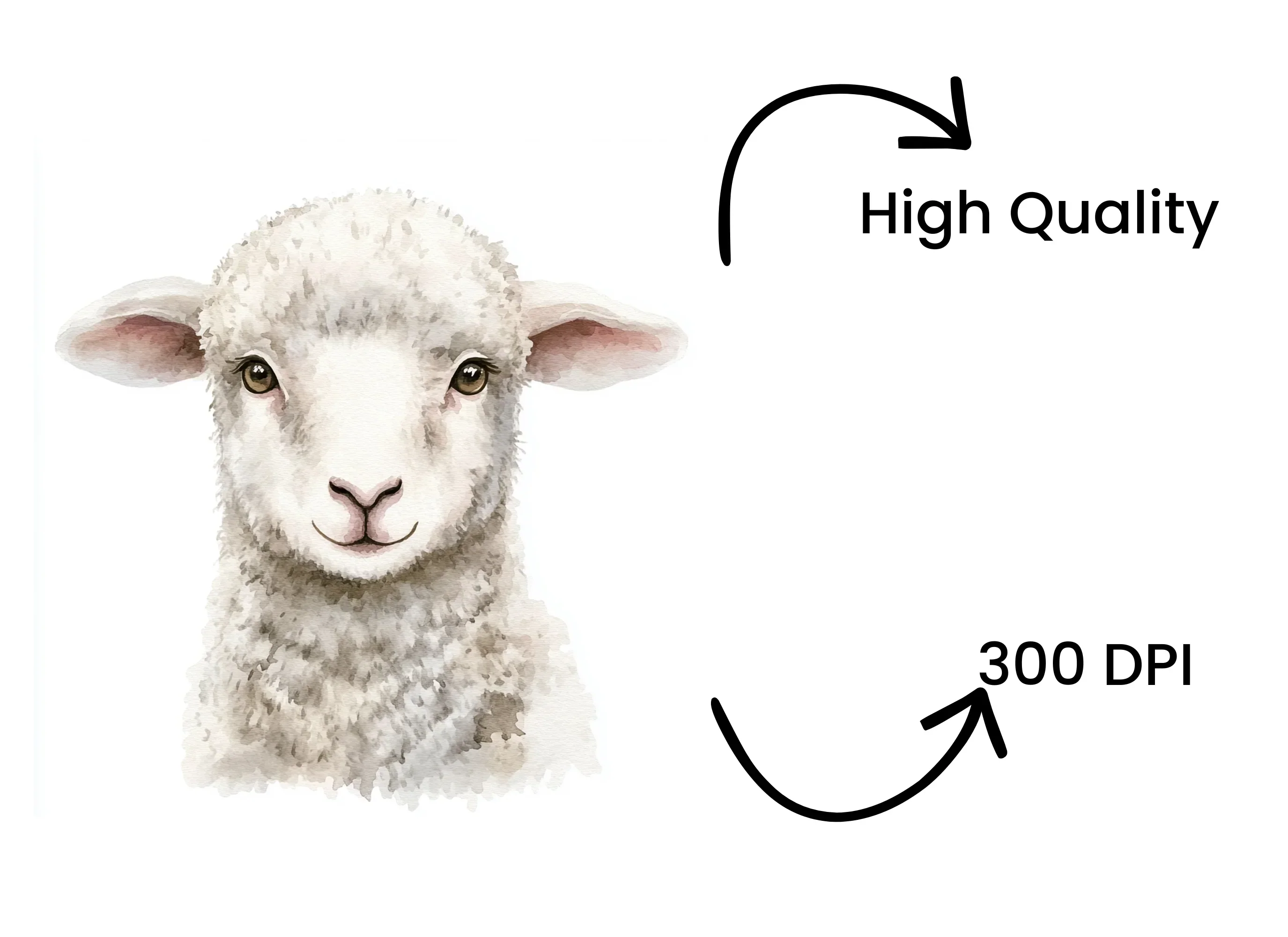 Adorable Lamb Faces Clipart Bundle - Image 4