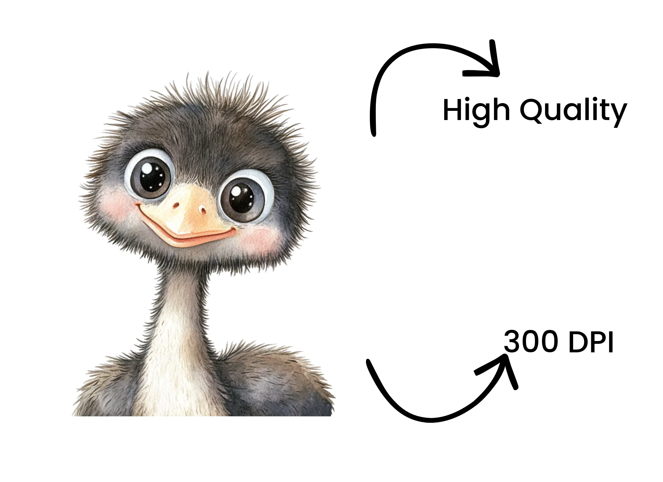Adorable Ostrich Chick Clipart Bundle - Image 4