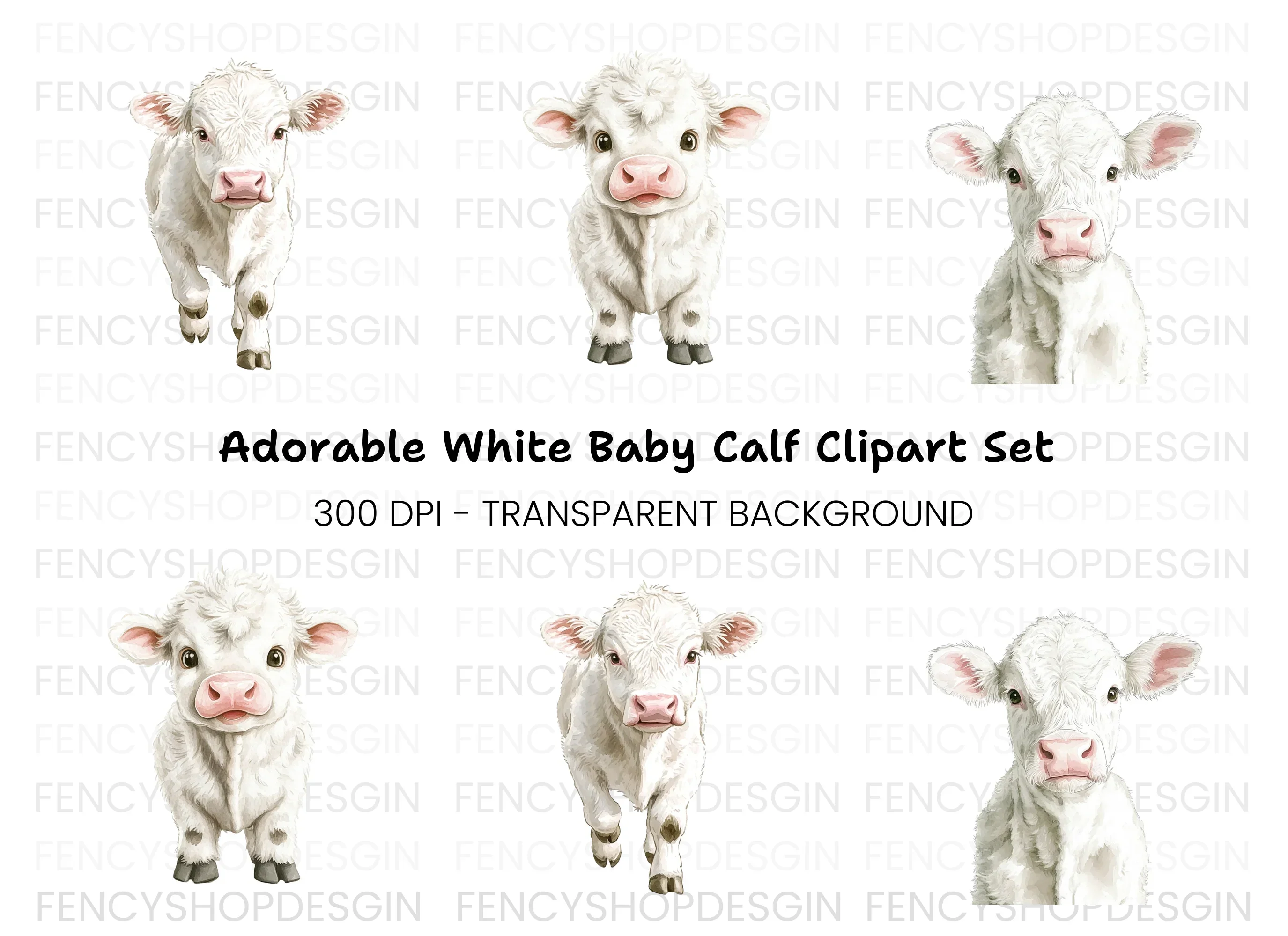 Adorable White Baby Calf Clipart Bundle