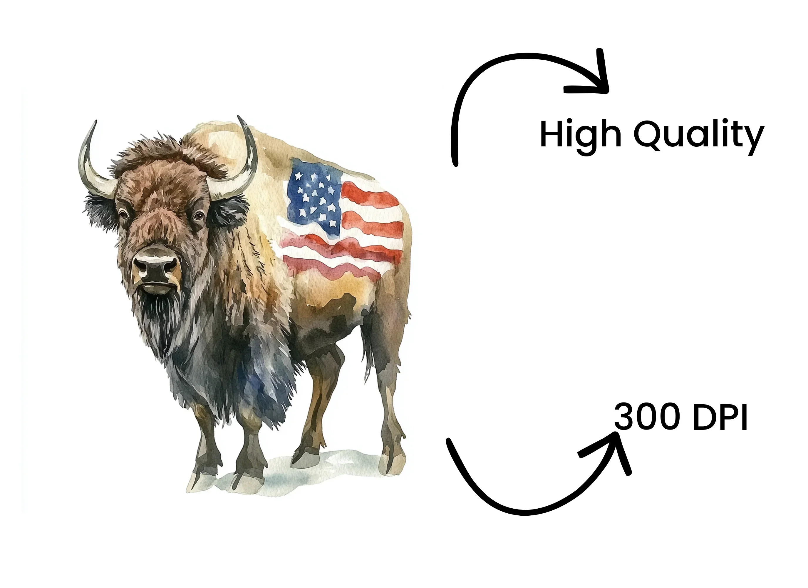 American Bison Clipart Bundle - Image 4