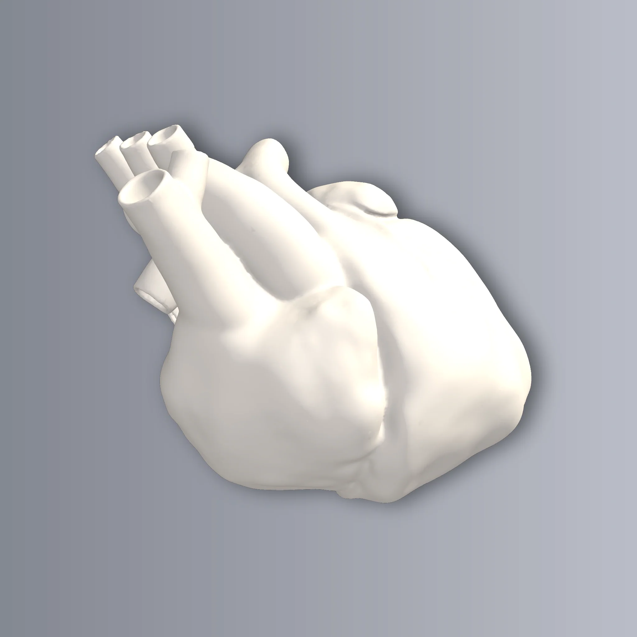 Anatomical Heart 3D Print STL File - Image 2