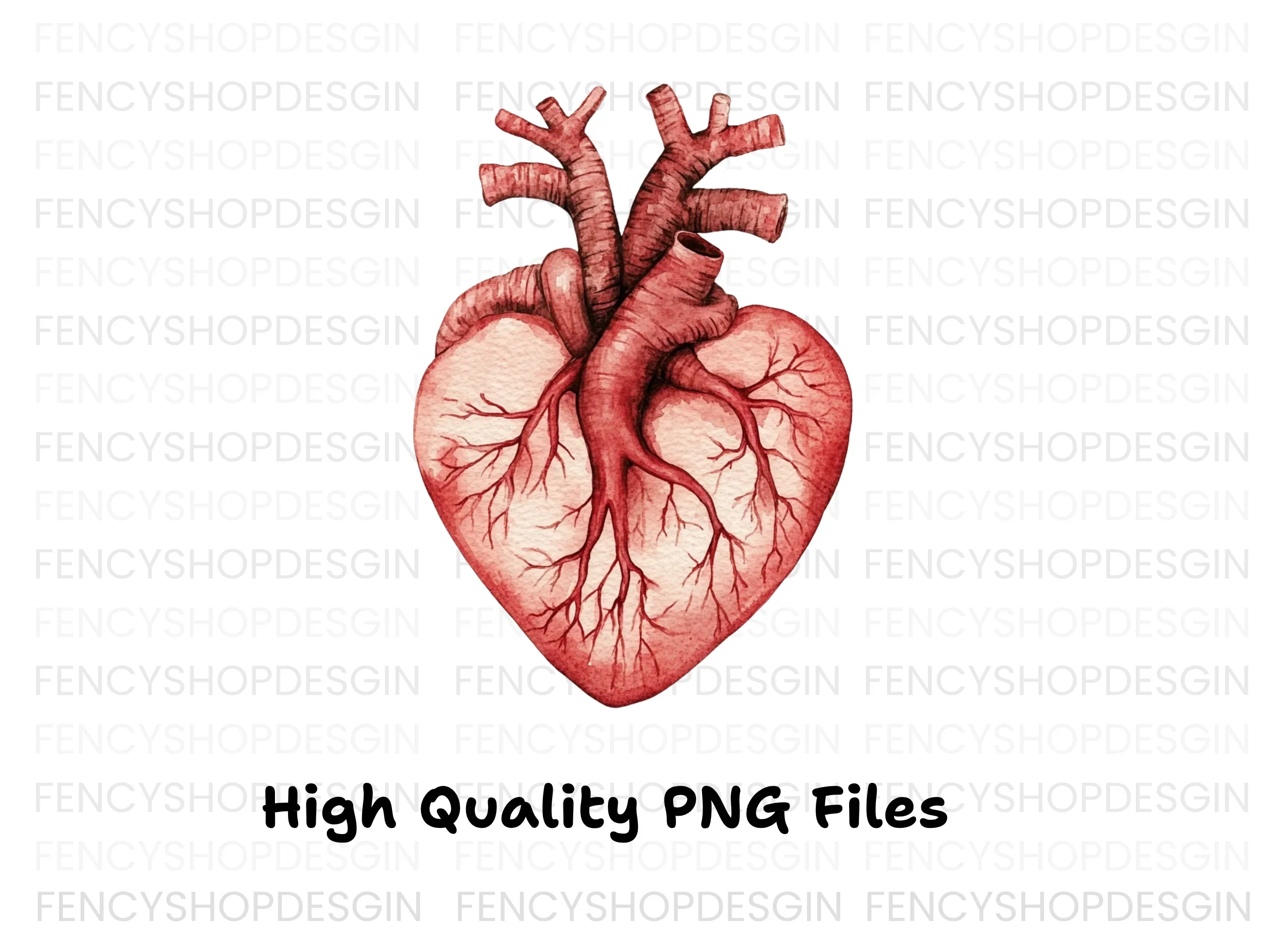 Anatomical Heart Clipart Bundle - Image 3