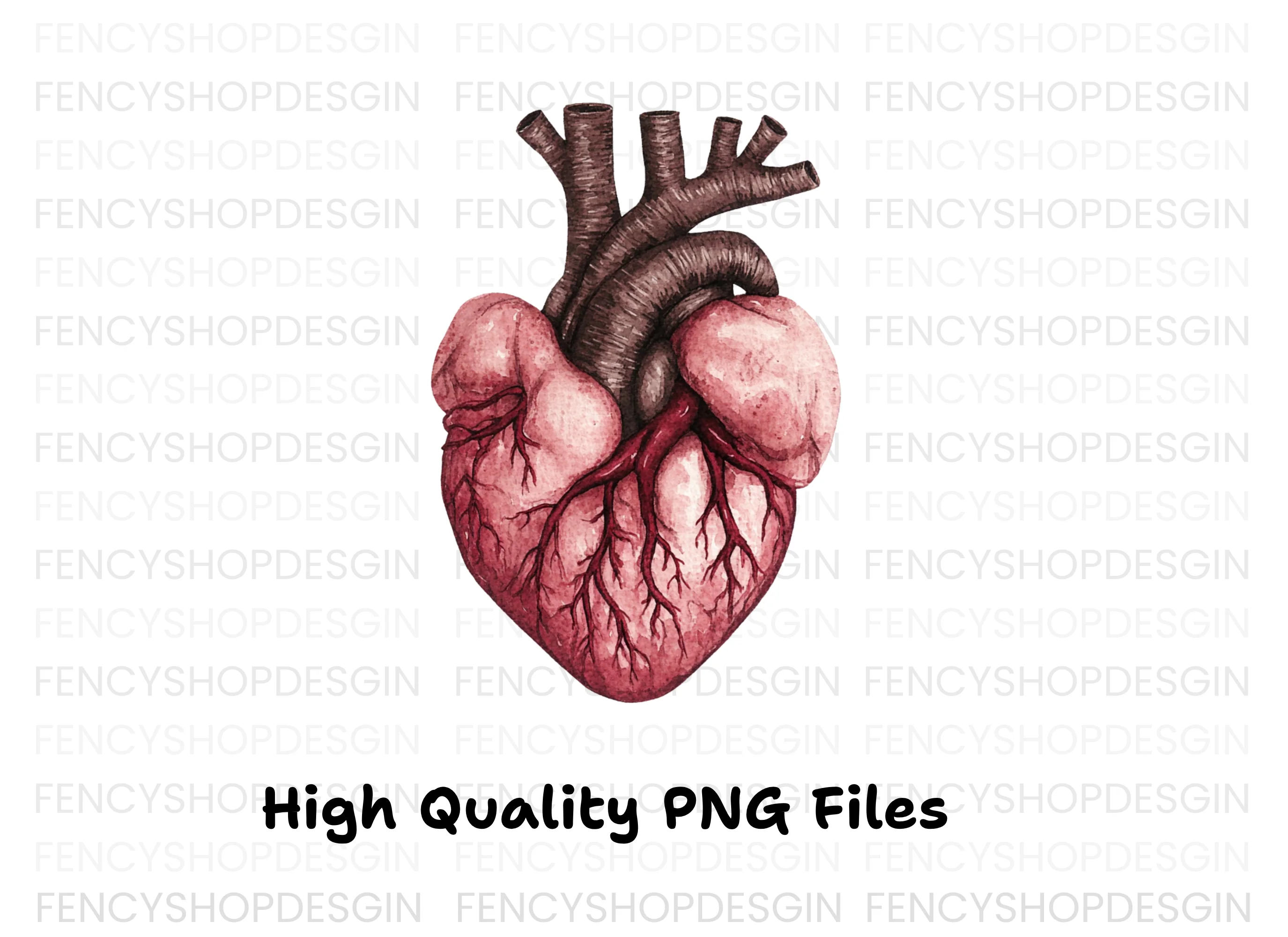Anatomical Human Heart Clipart Bundle - Image 3