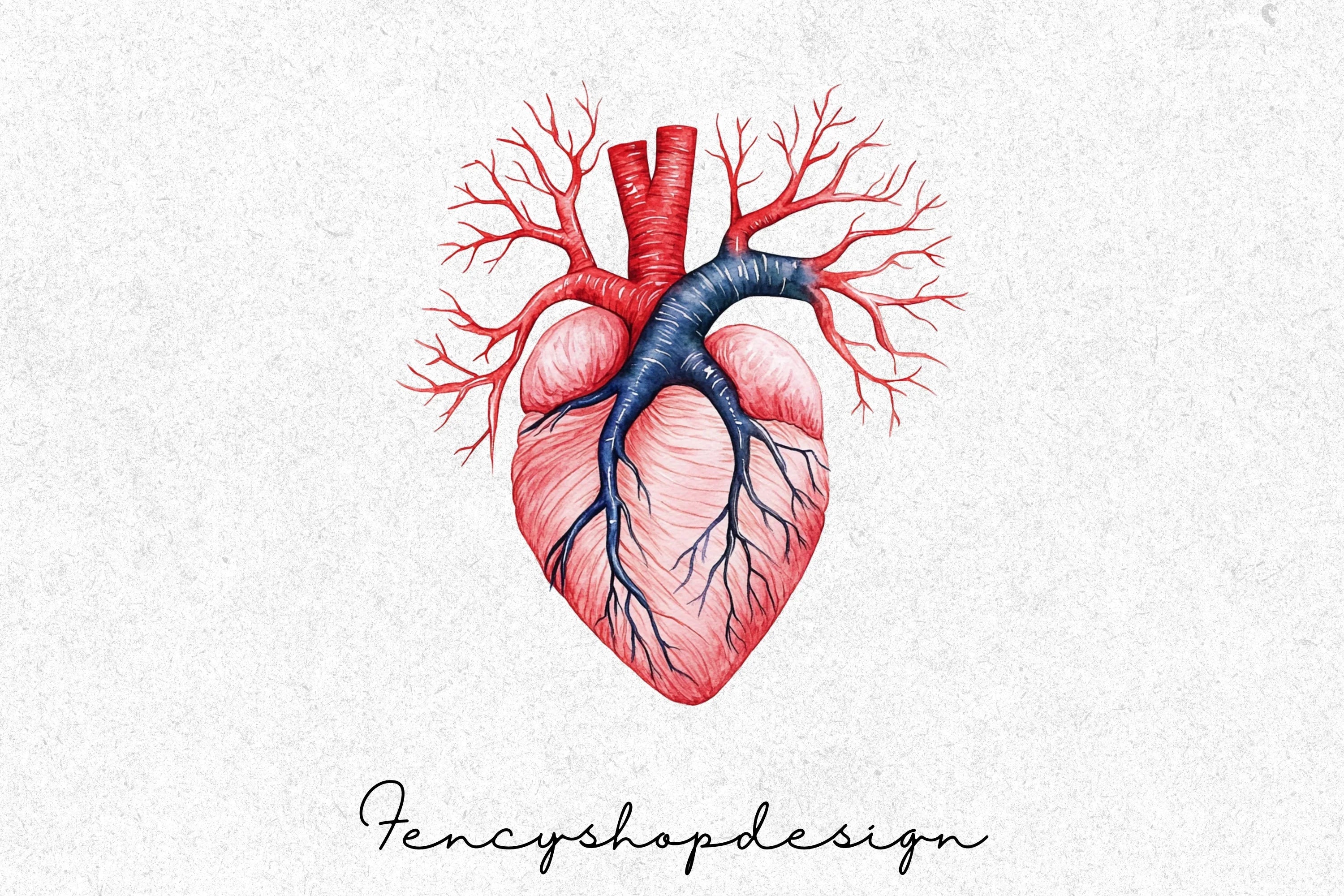 Anatomical Human Heart Clipart Bundle - Image 7