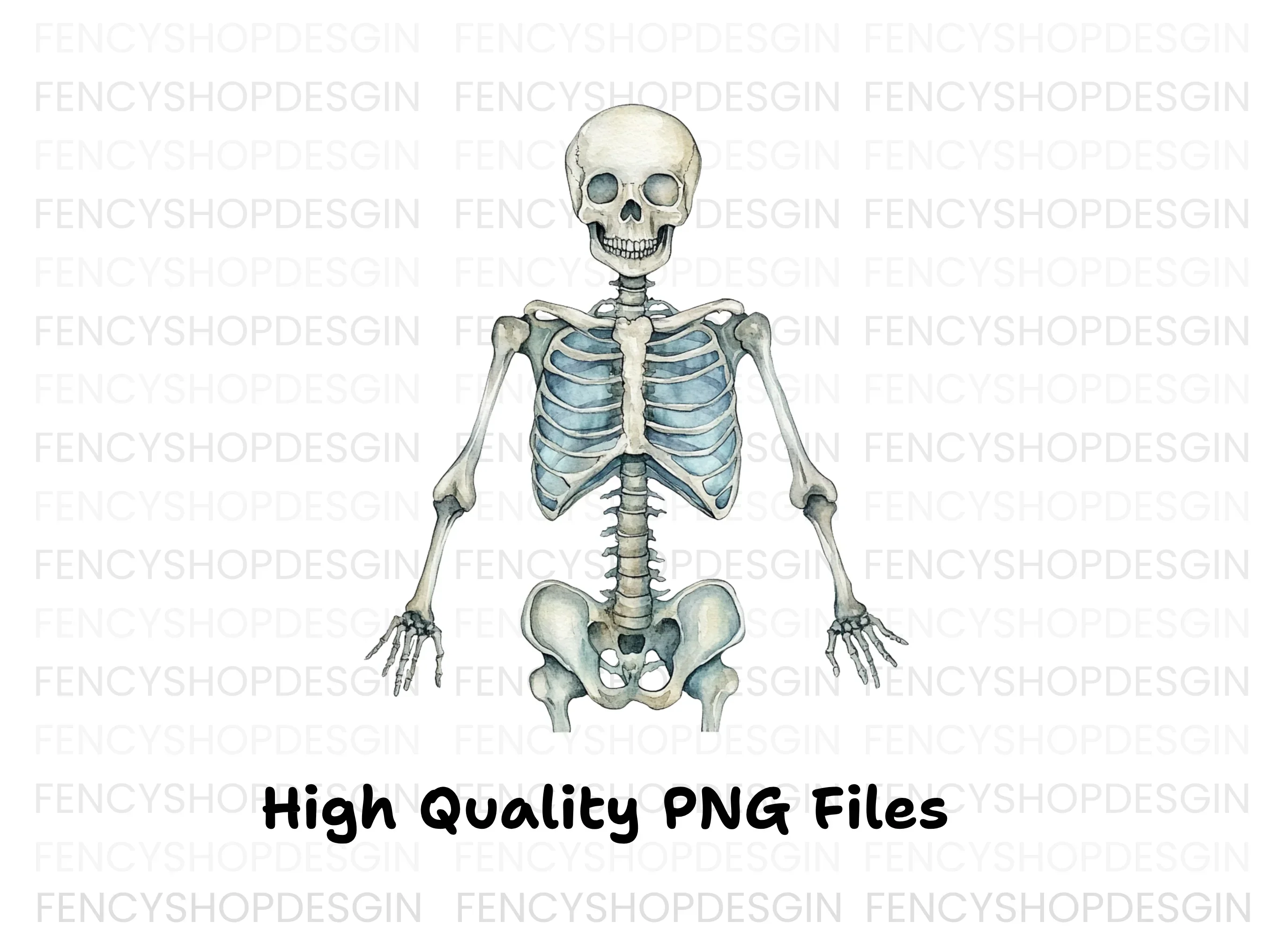 Anatomical Skeleton Graphics Clipart Bundle - Image 2