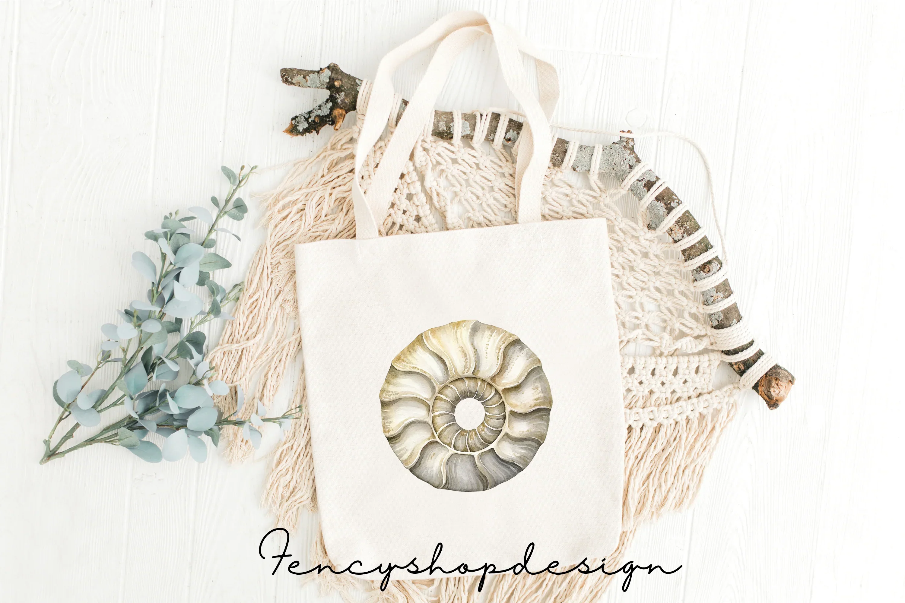 Ancient Ammonite Fossil Clipart Bundle - Image 2