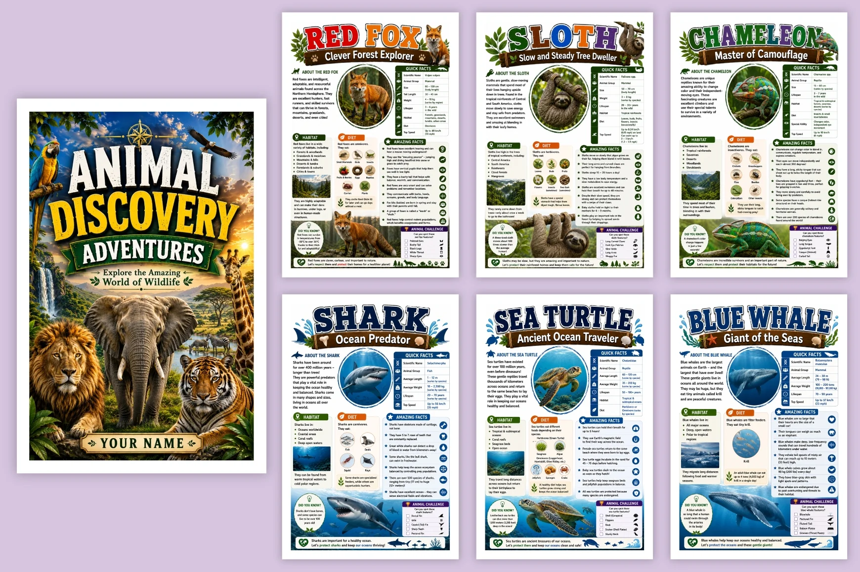 Animal Discovery Adventures - Image 5