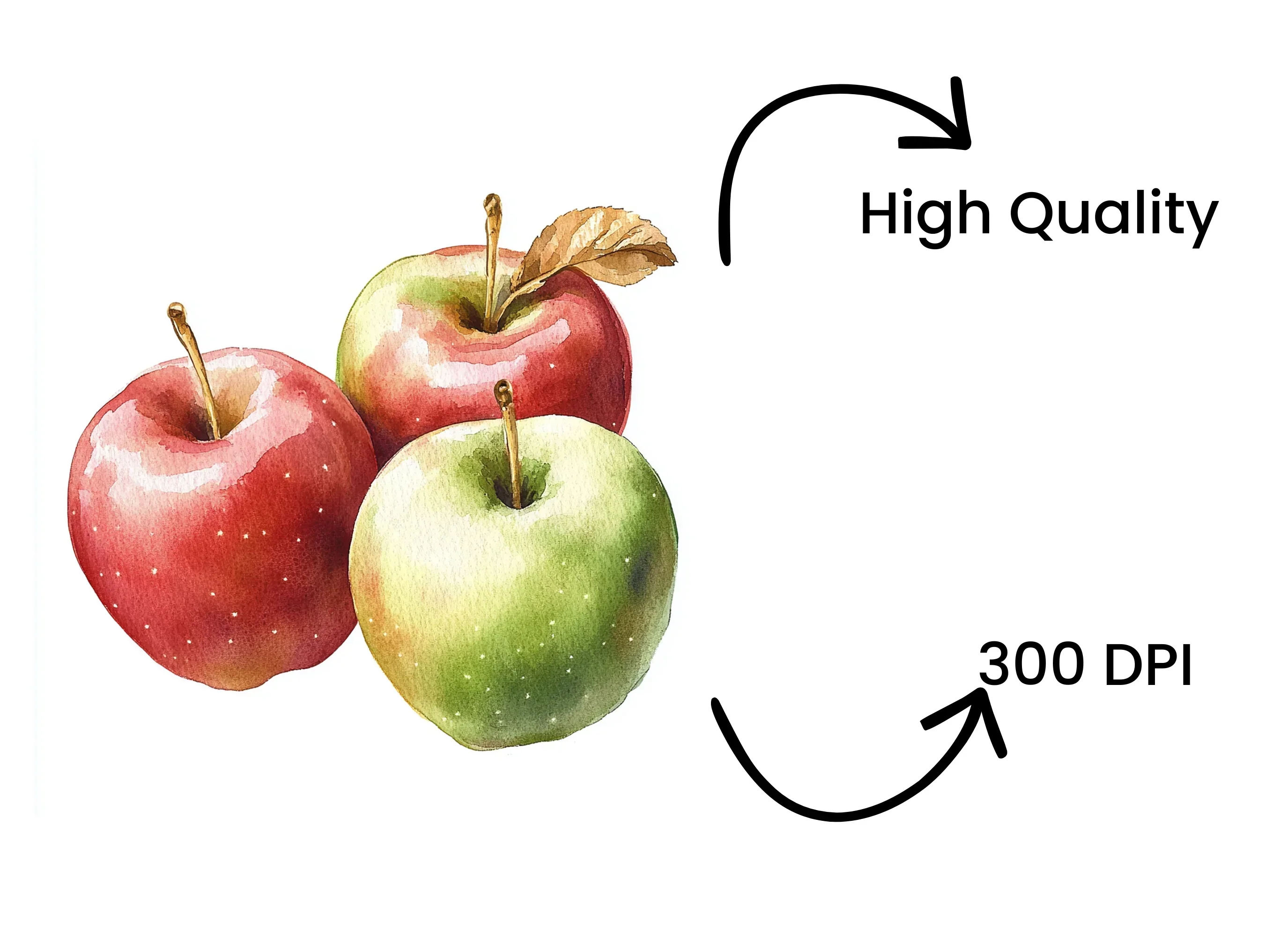 Apples Clipart Bundle - Image 4