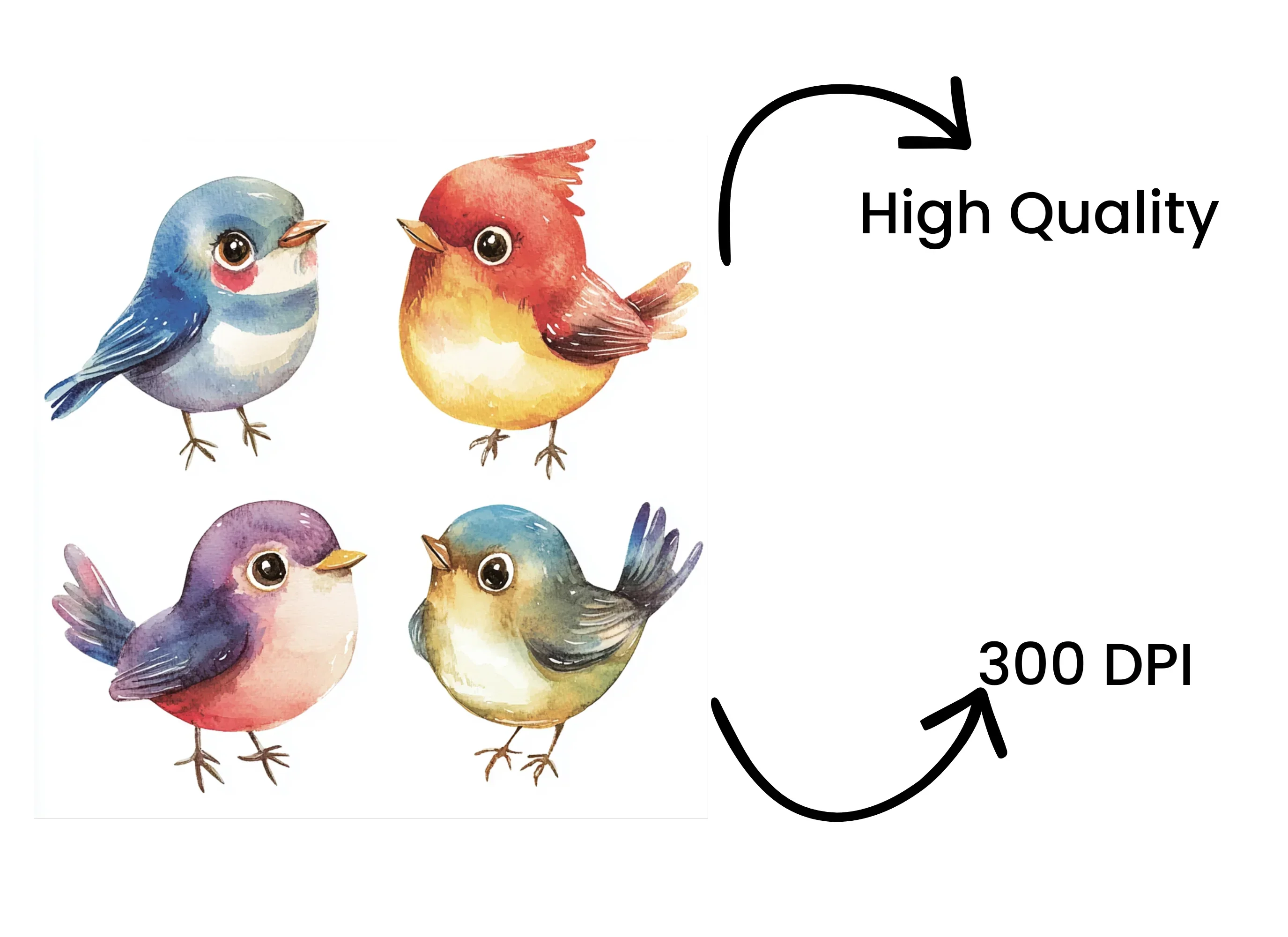 Assorted Bird Illustrations Clipart Bundle - Image 4