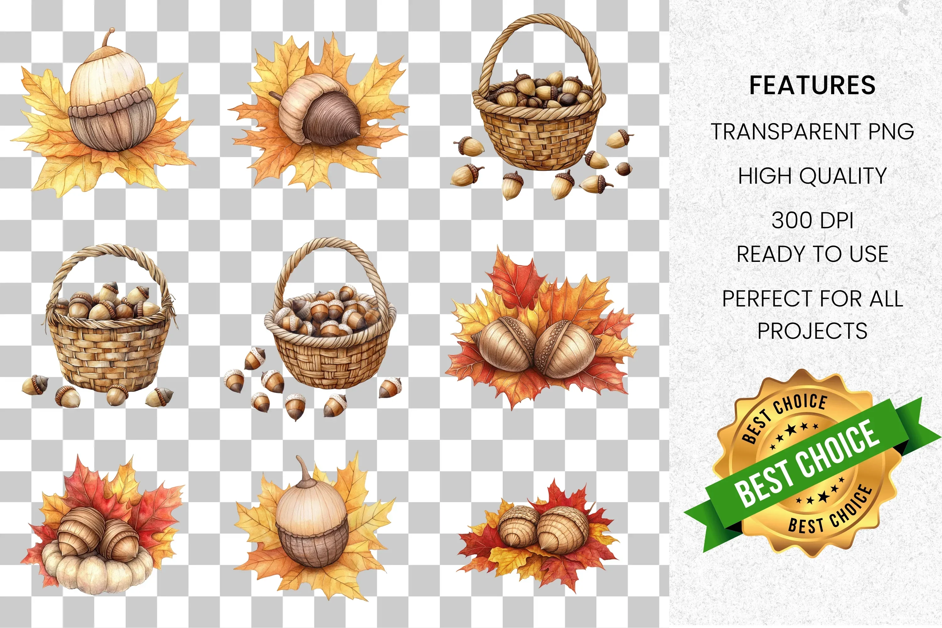 Autumn Acorn Harvest Cozy Drink Clipart Bundle - Image 2