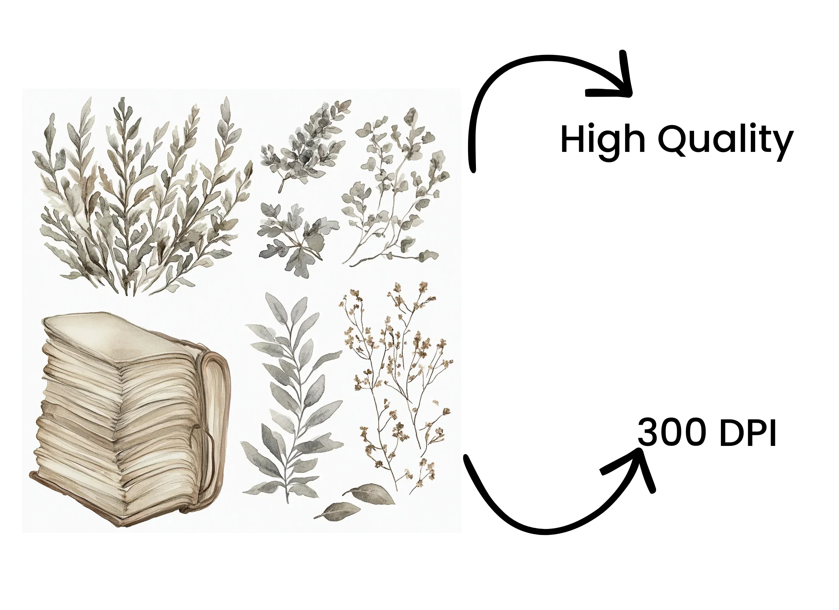Autumn Botanical Clipart Bundle - Image 4