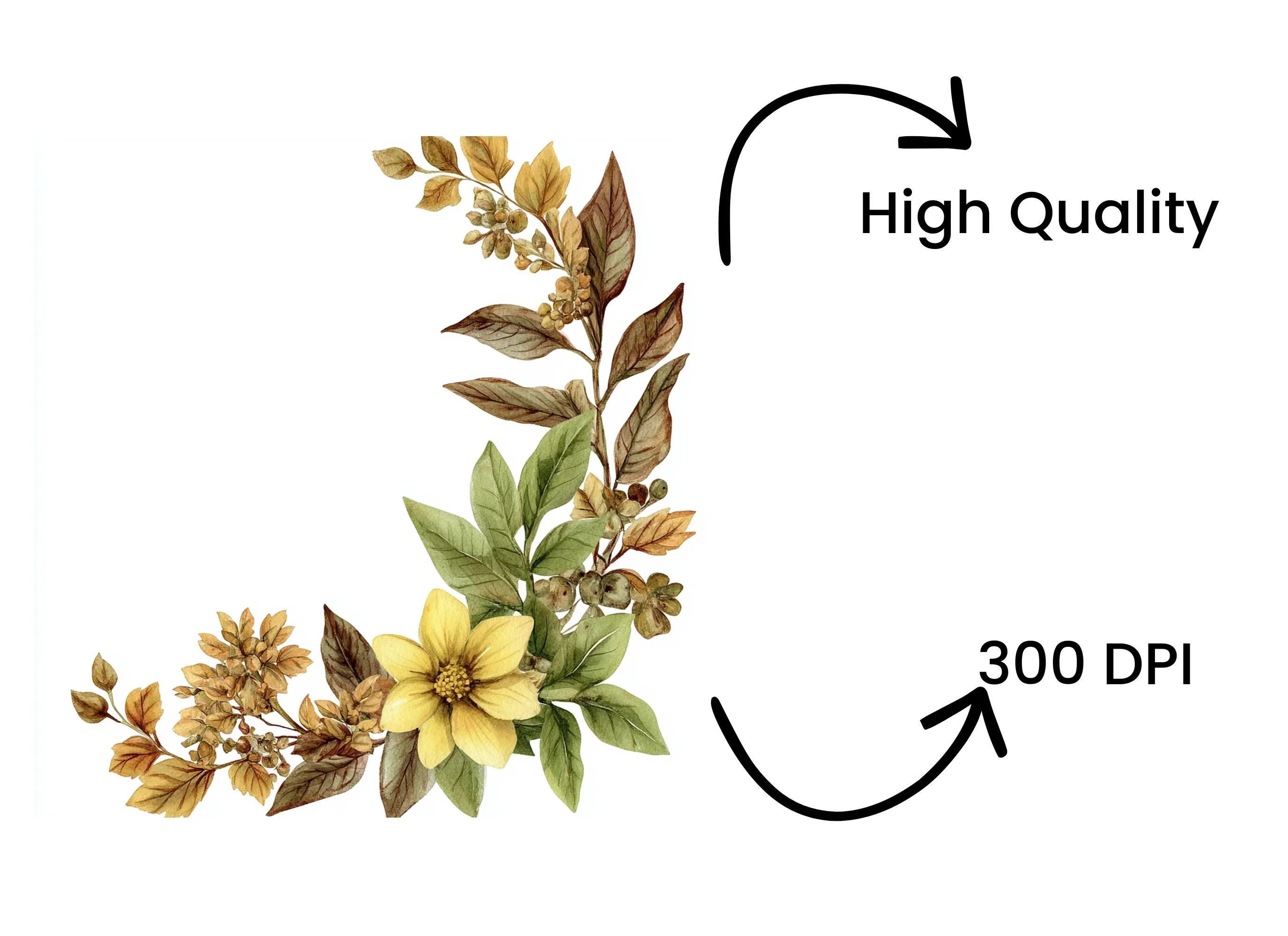 Autumn Floral Corner Clipart Bundle - Image 4
