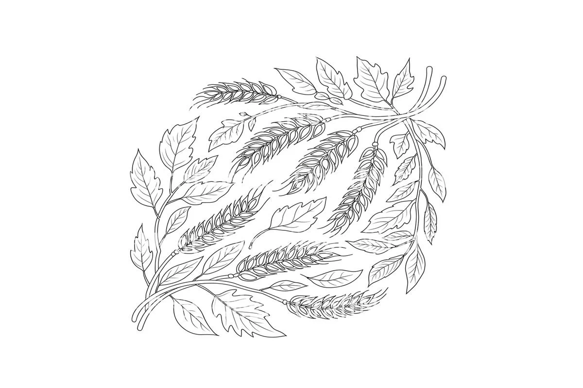 Autumn Harvest Wheat and Leaves Coloring Books - Image 4