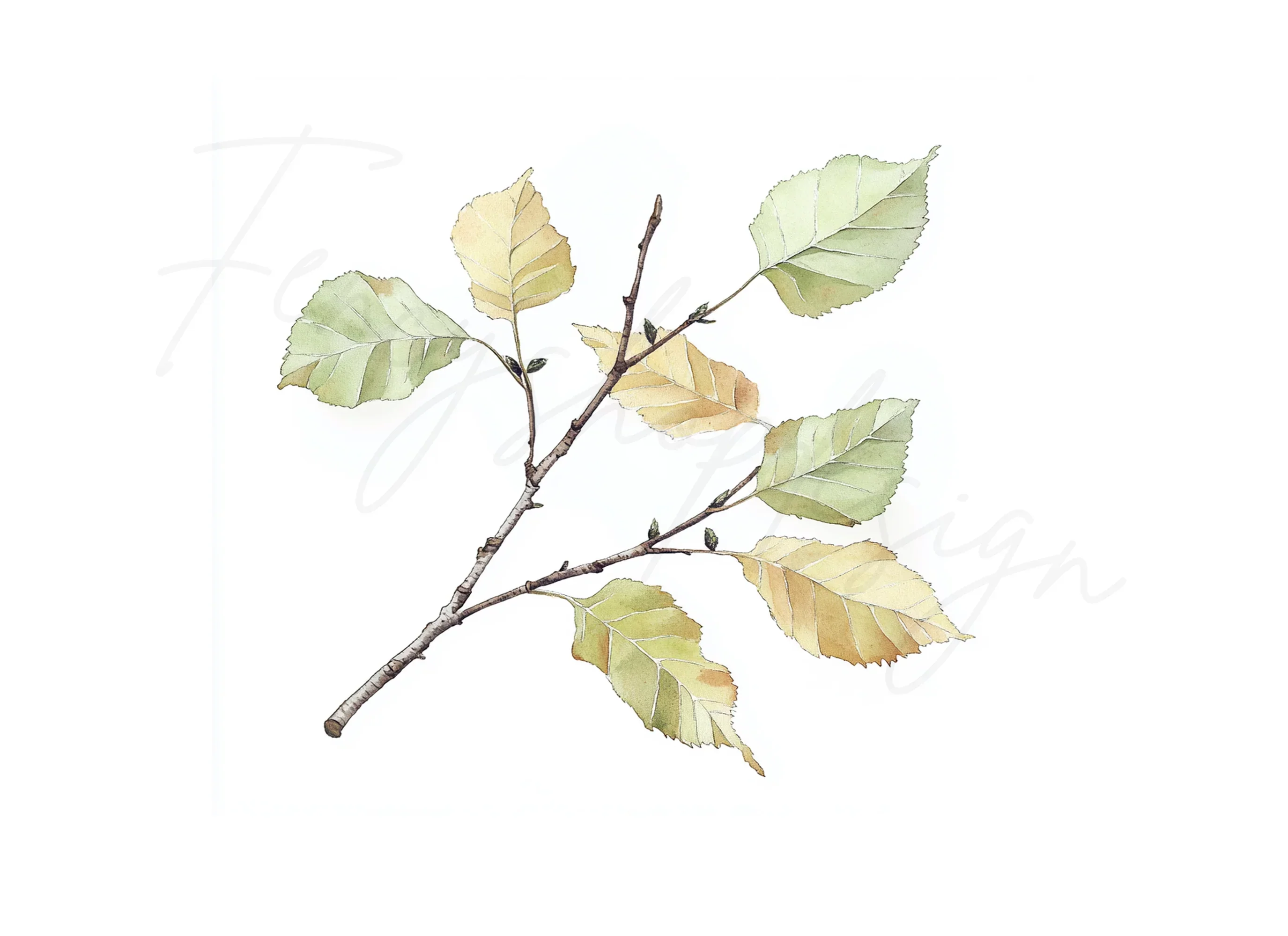 Autumn Leaves Clipart Bundle - Image 2