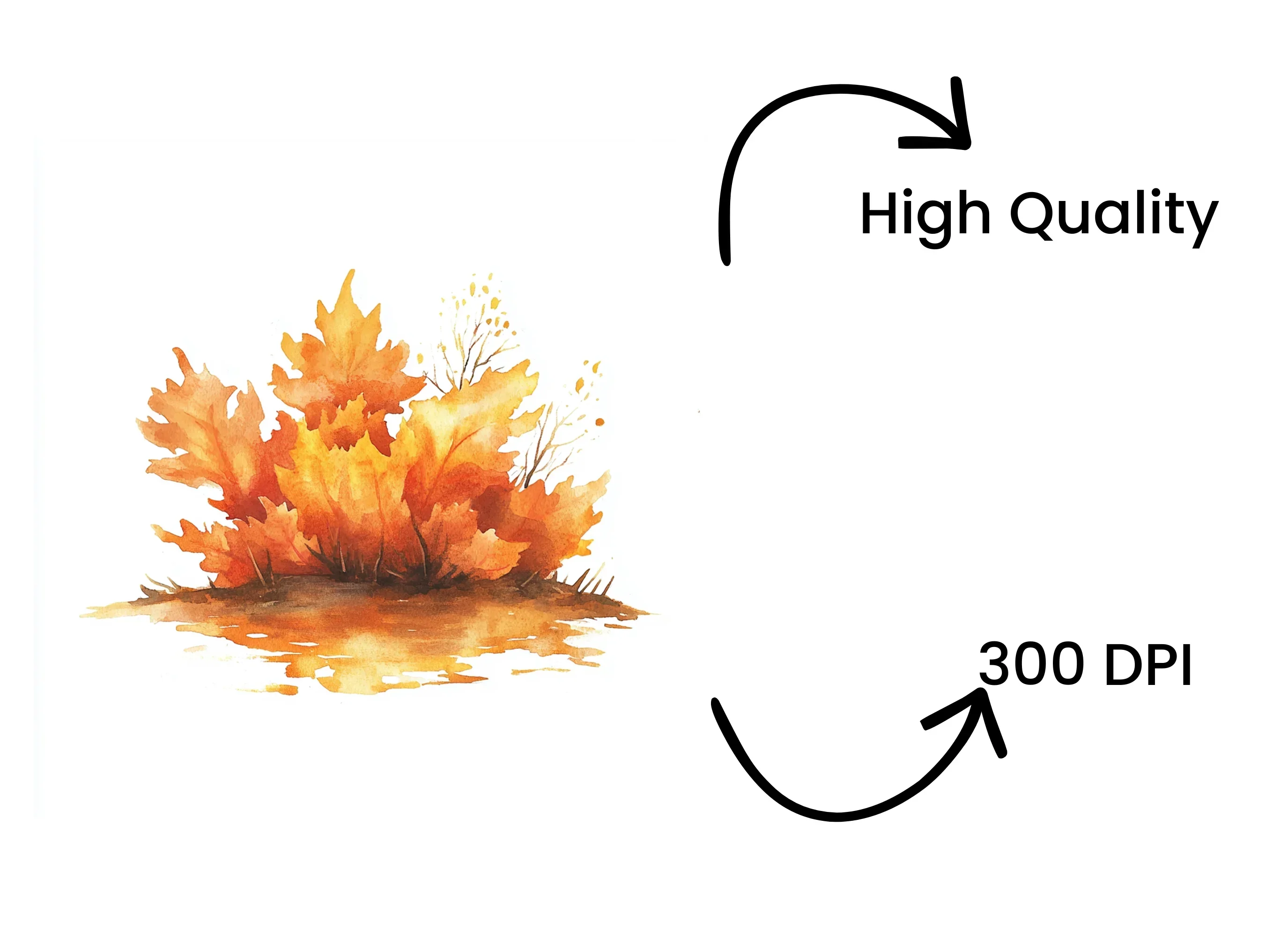 Autumn Leaves Clipart Bundle - Image 4