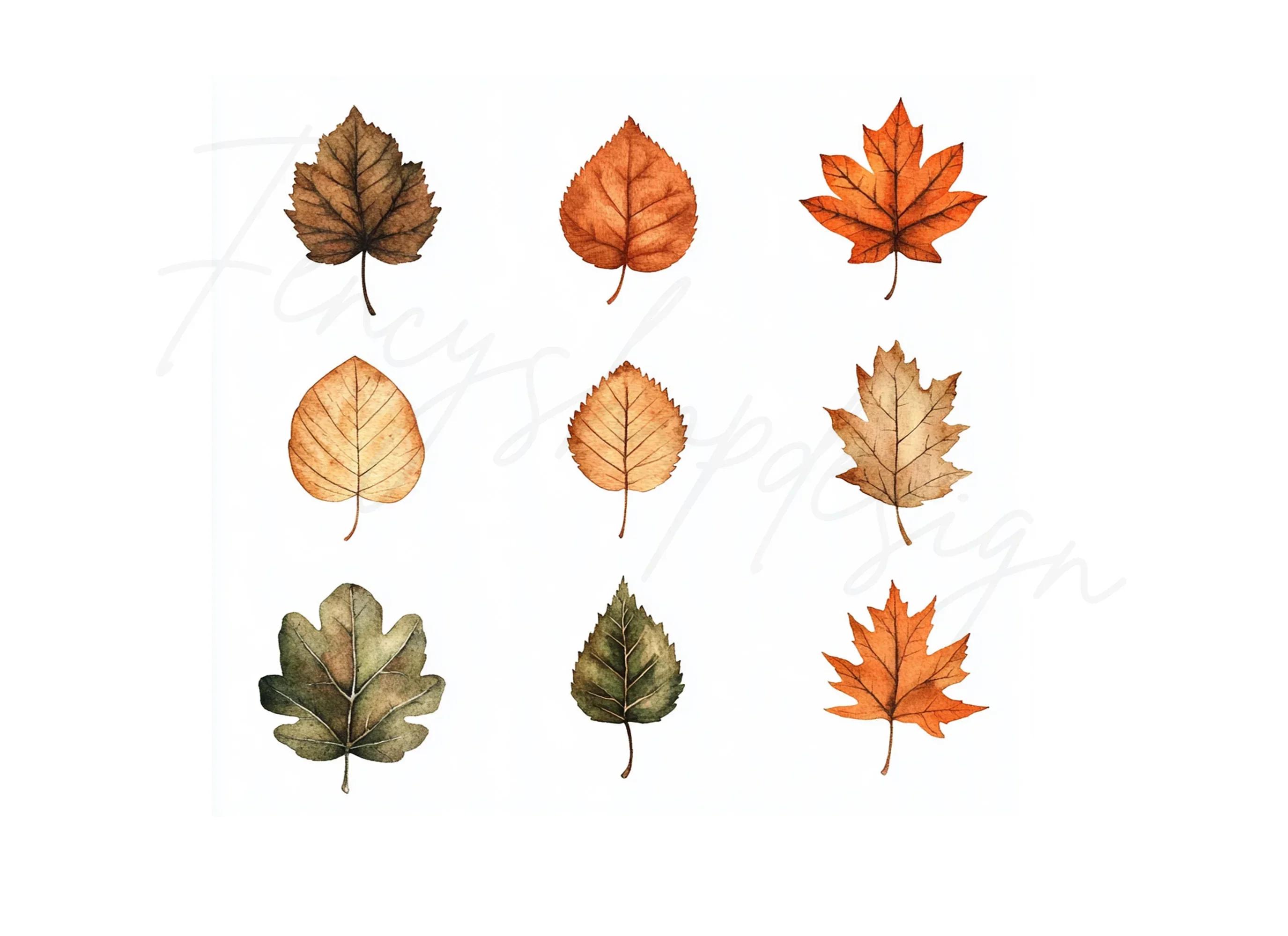 Autumn Leaves Clipart Bundle - Image 2