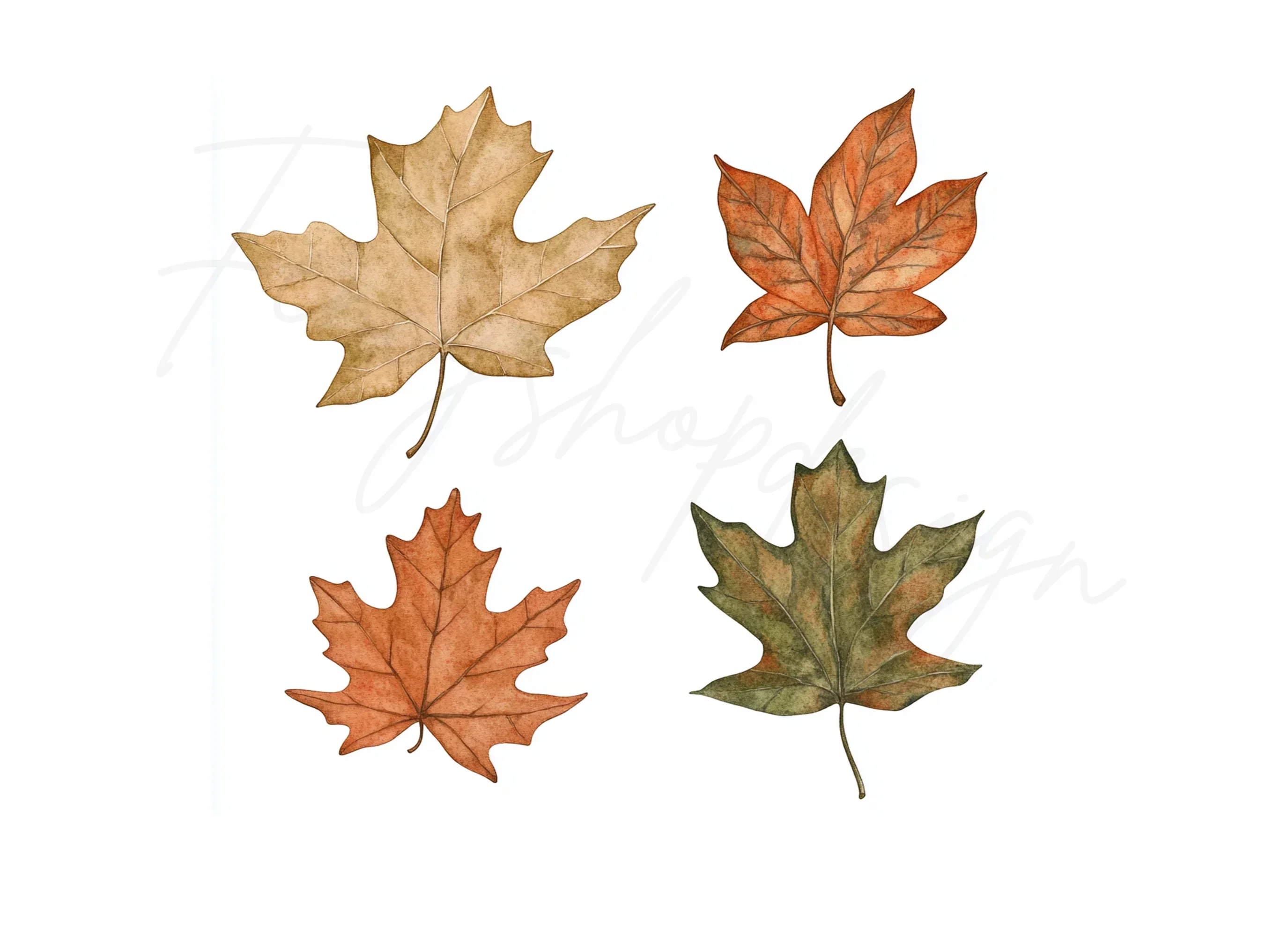 Autumn Leaves Clipart Bundle - Image 3