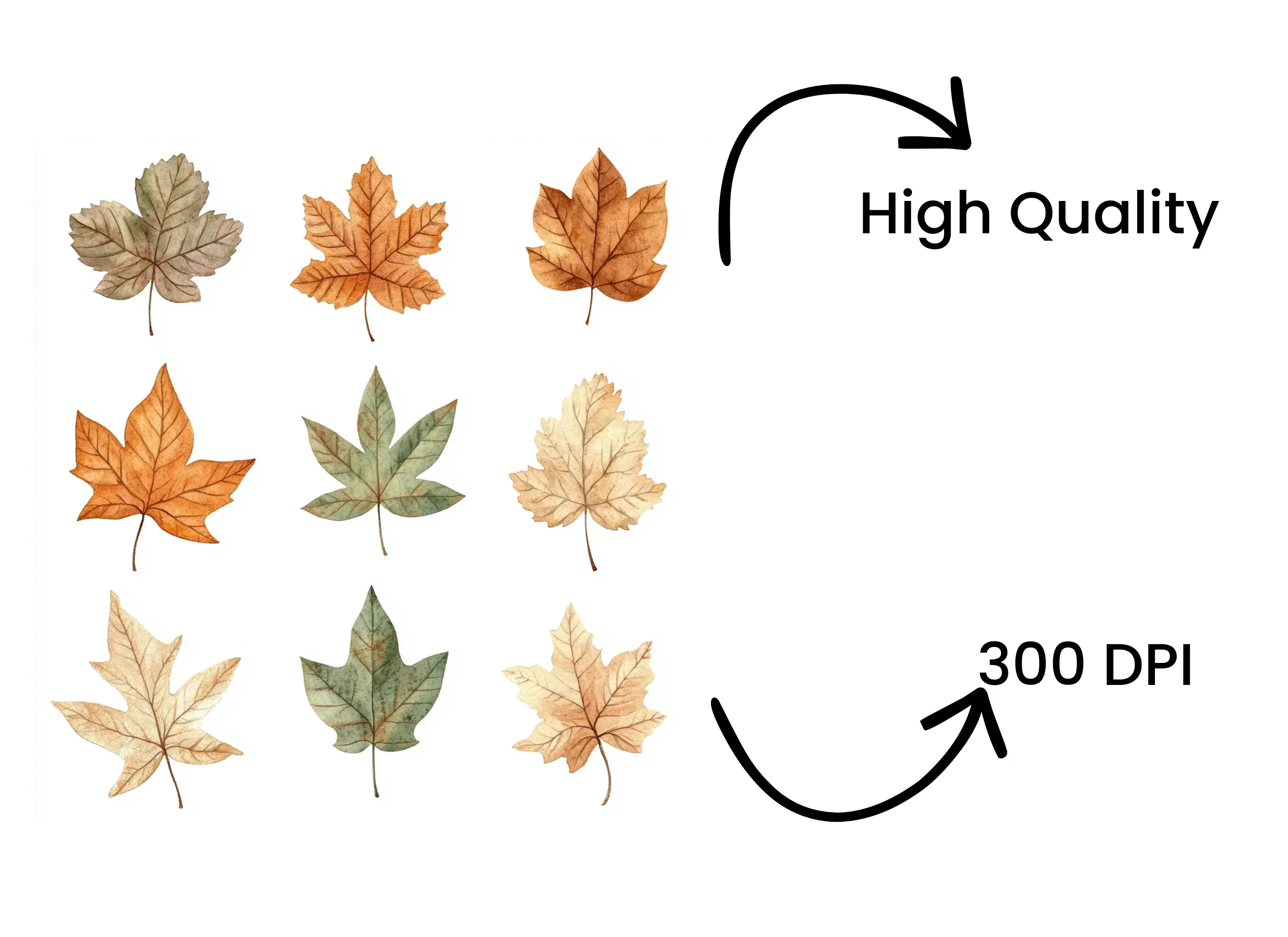 Autumn Leaves Clipart Bundle - Image 4