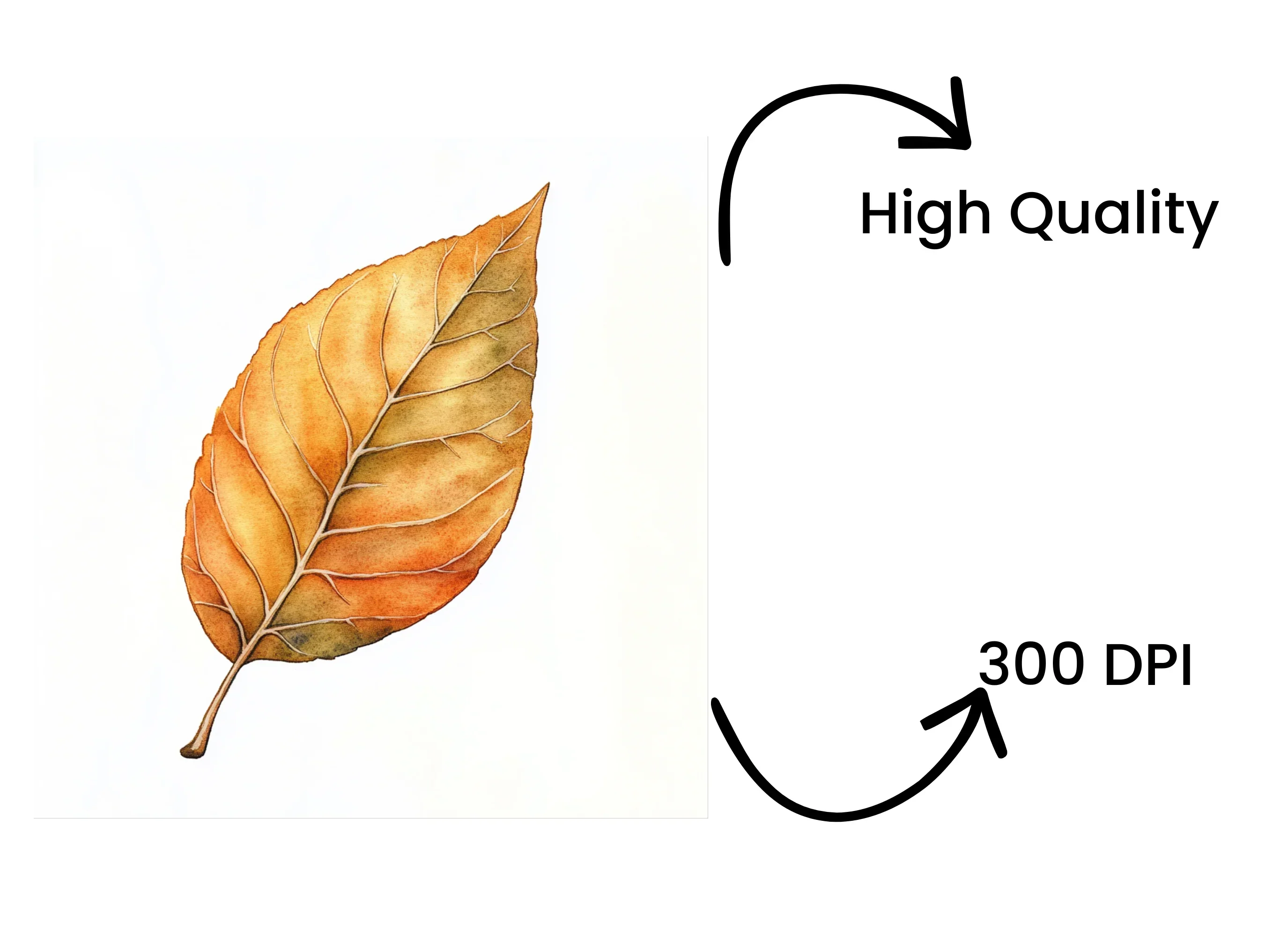 Autumn Leaves Clipart Bundle - Image 4