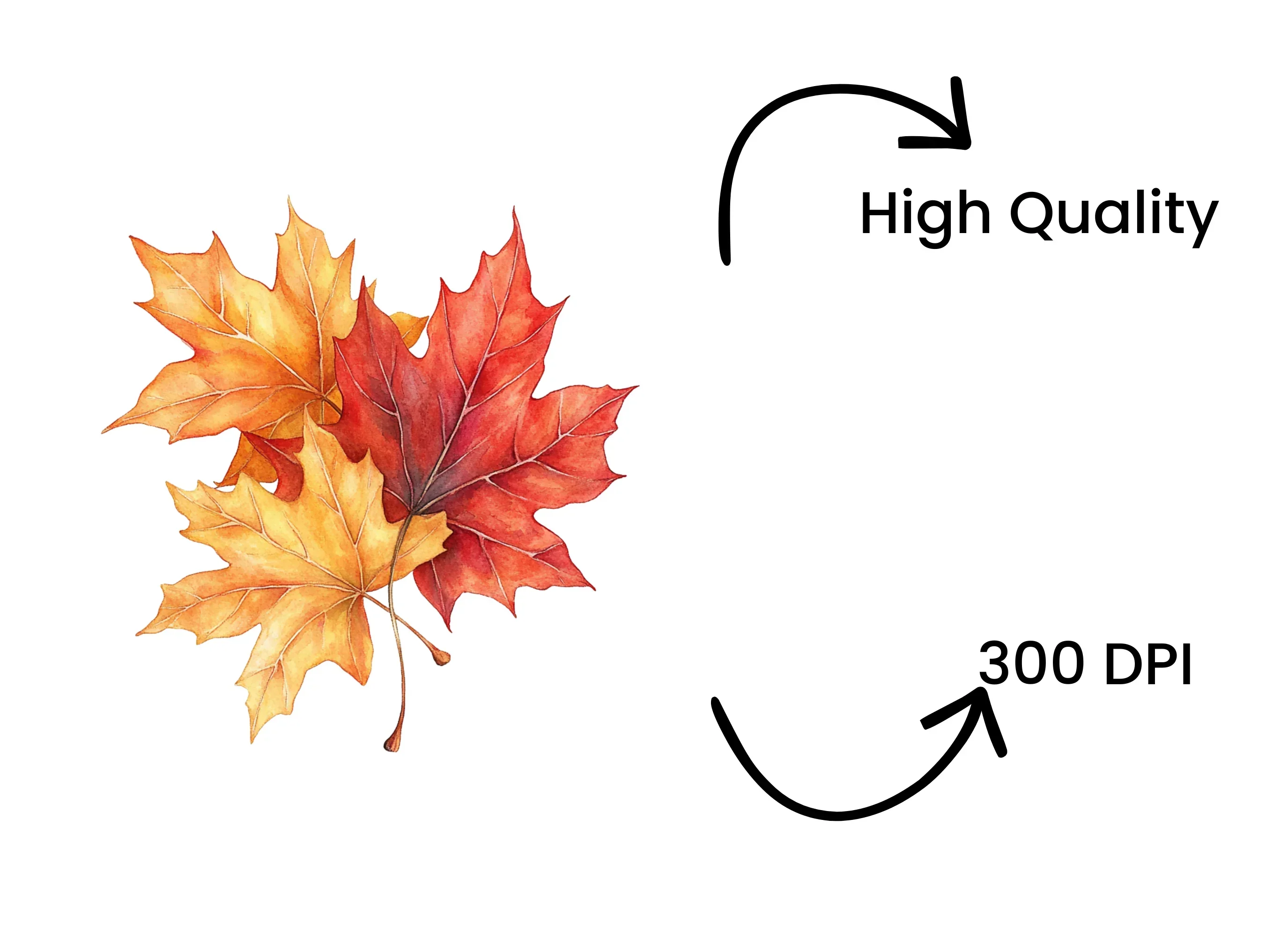 Autumn Leaves Clipart Bundle - Image 4