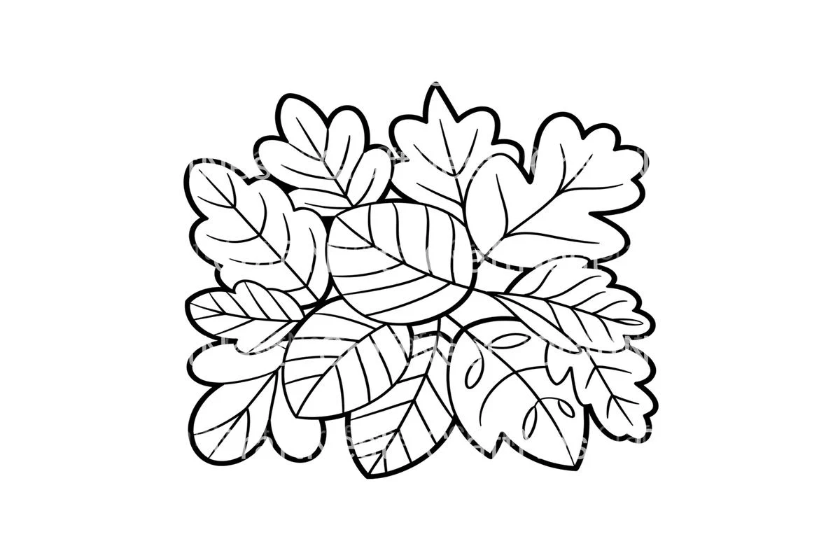Autumn Leaves Coloring Books - Image 3