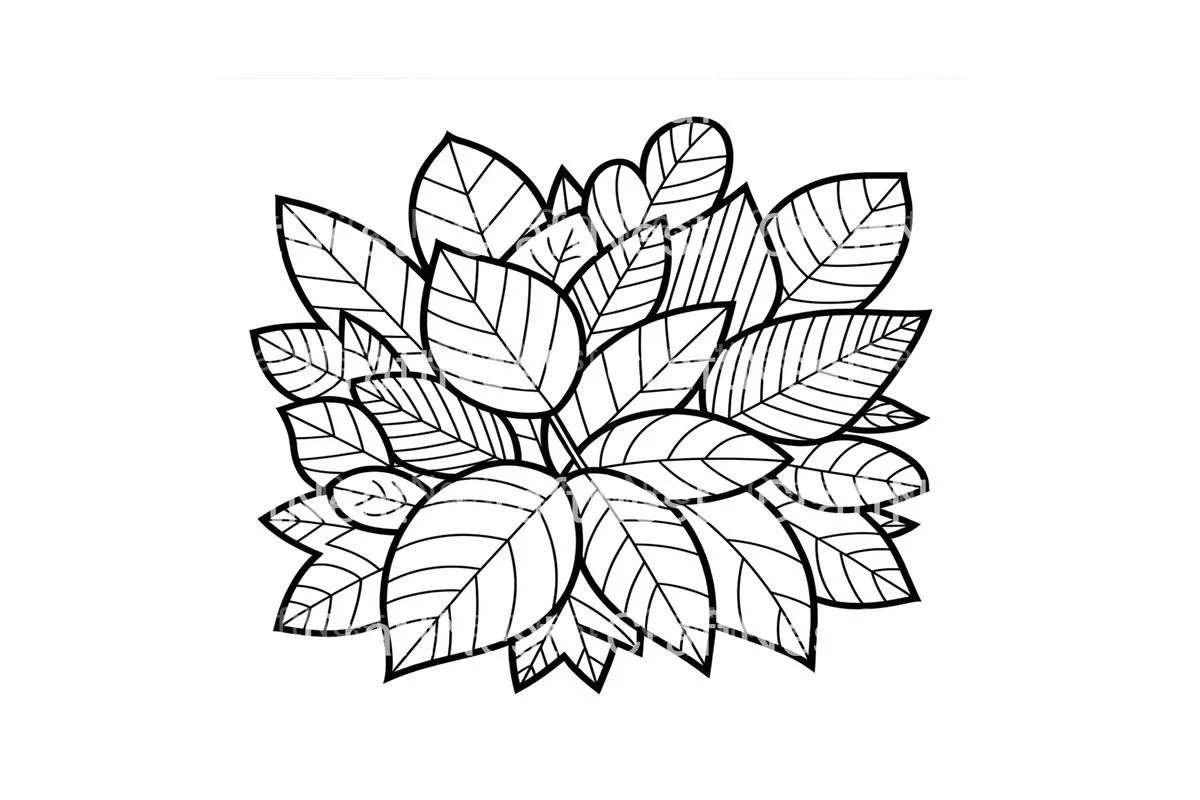 Autumn Leaves Coloring Books - Image 4