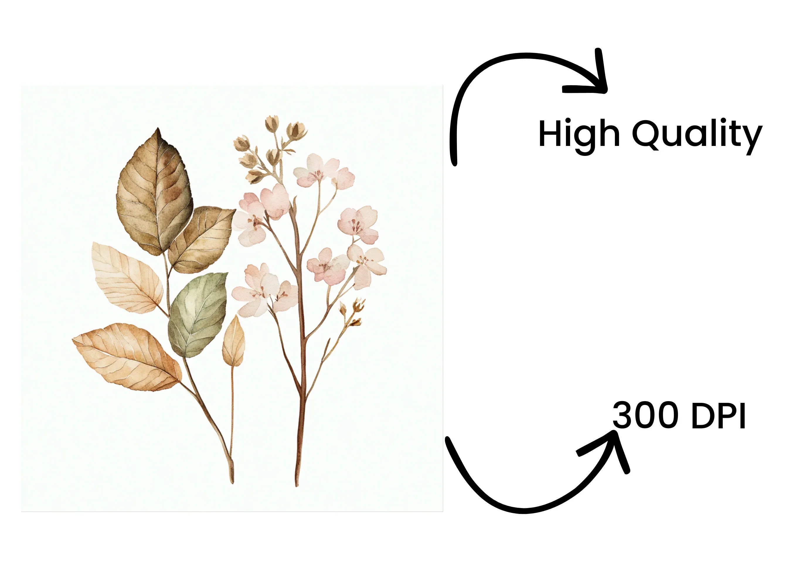 Autumn Leaves Flowers Clipart Bundle - Image 4