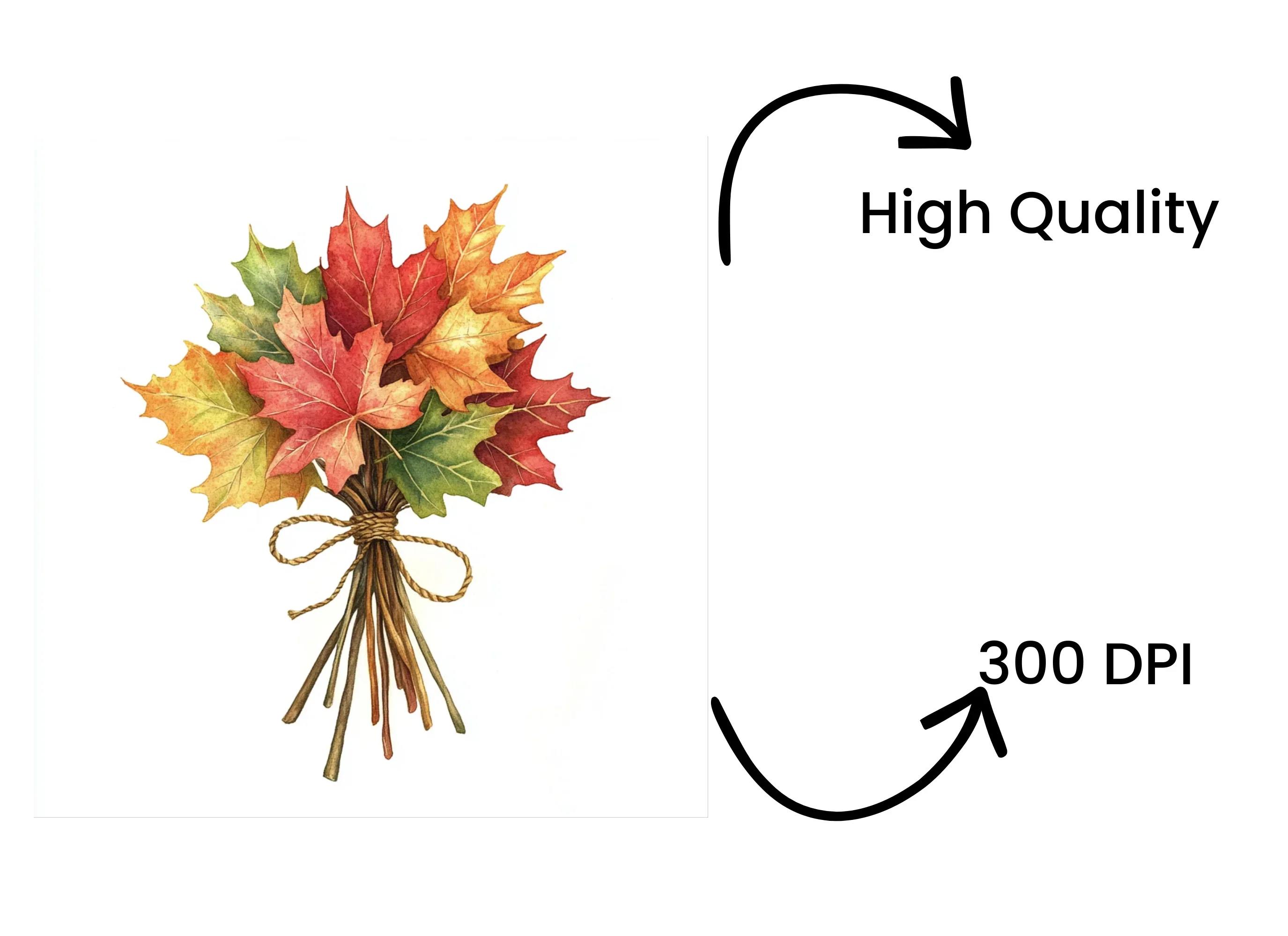 Autumn Maple Leaf Bouquets Clipart Bundle - Image 4