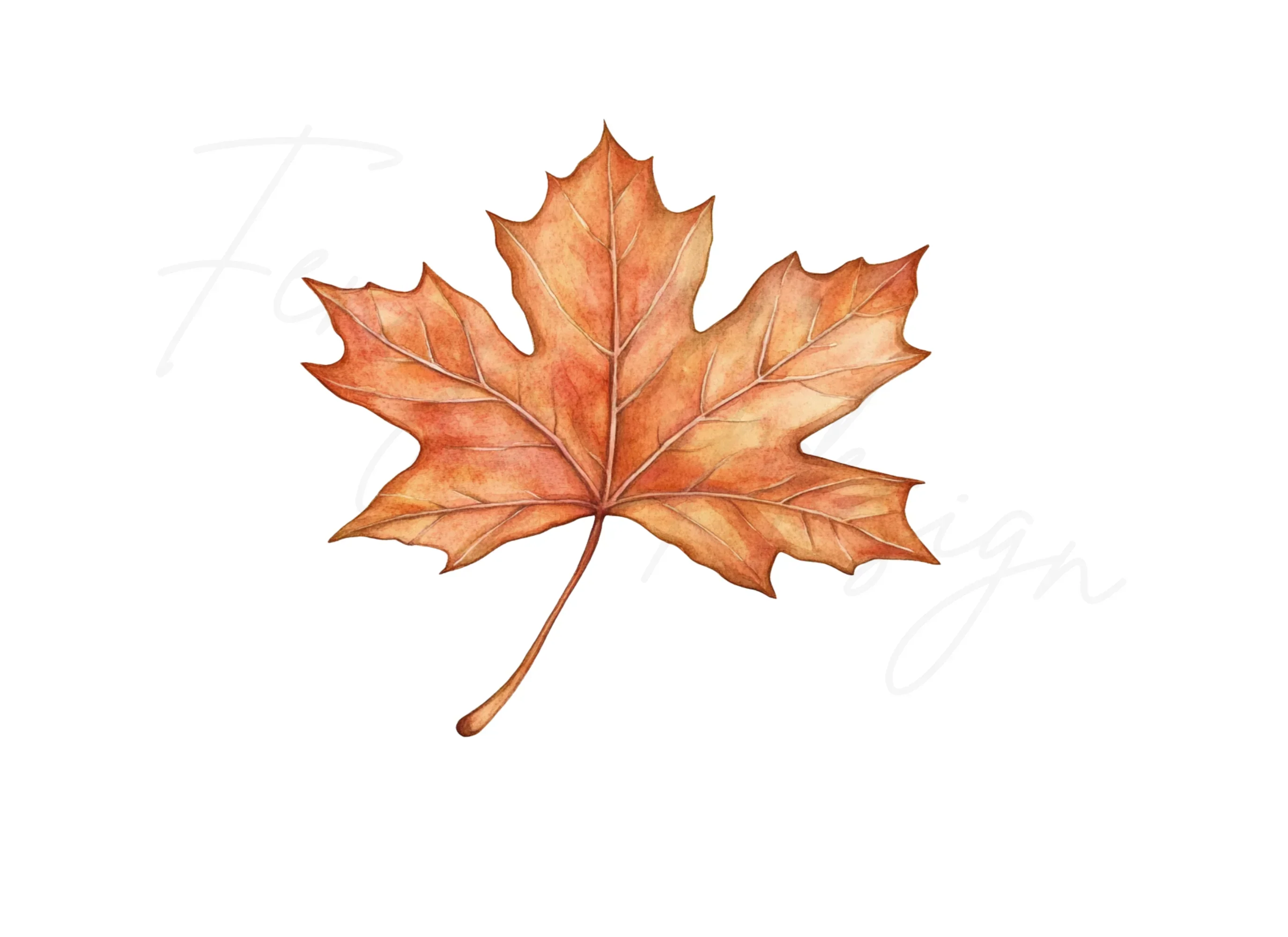 Autumn Maple Leaves Clipart Bundle - Image 3