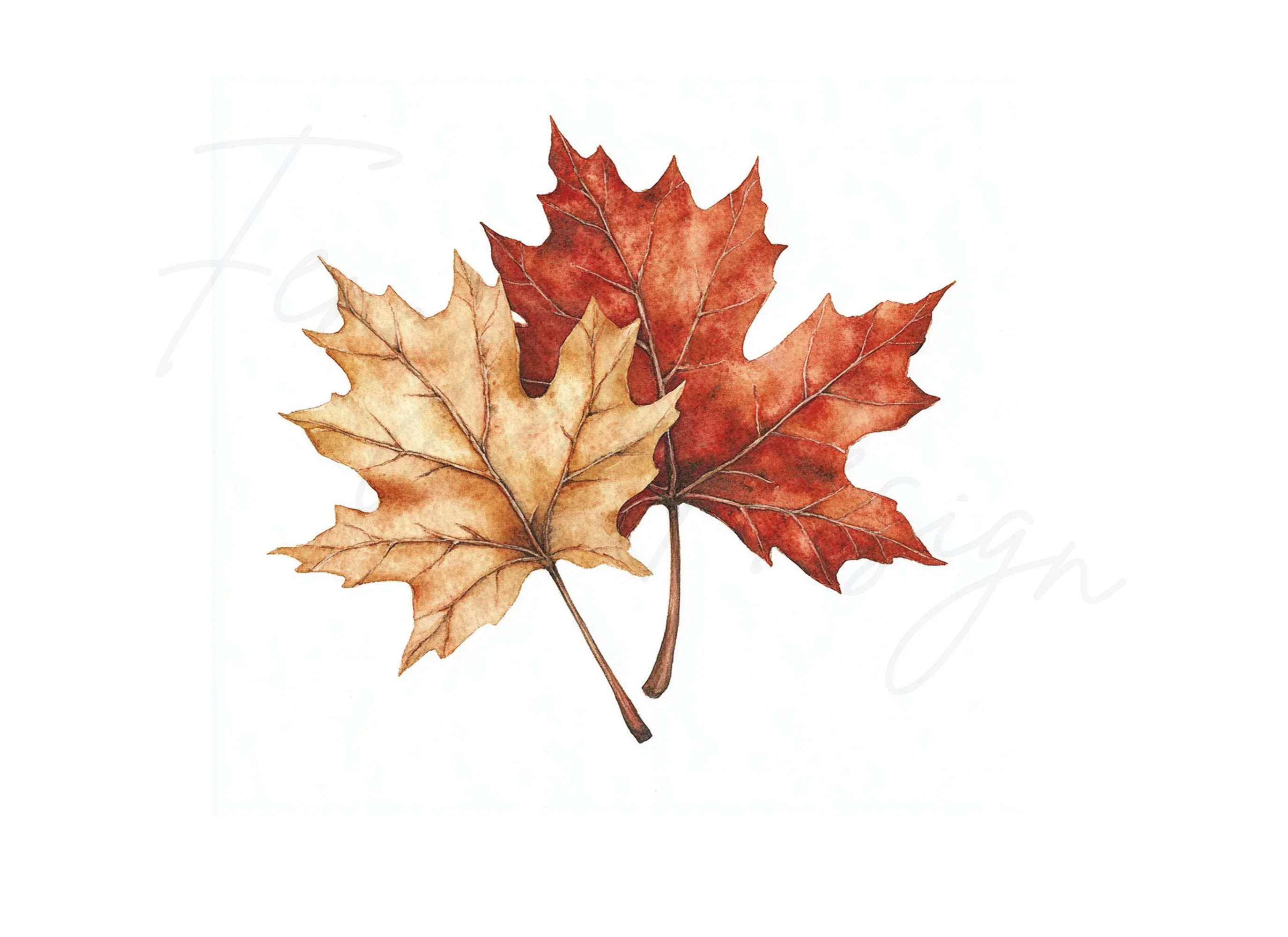 Autumn Maple Leaves Clipart Bundle - Image 3