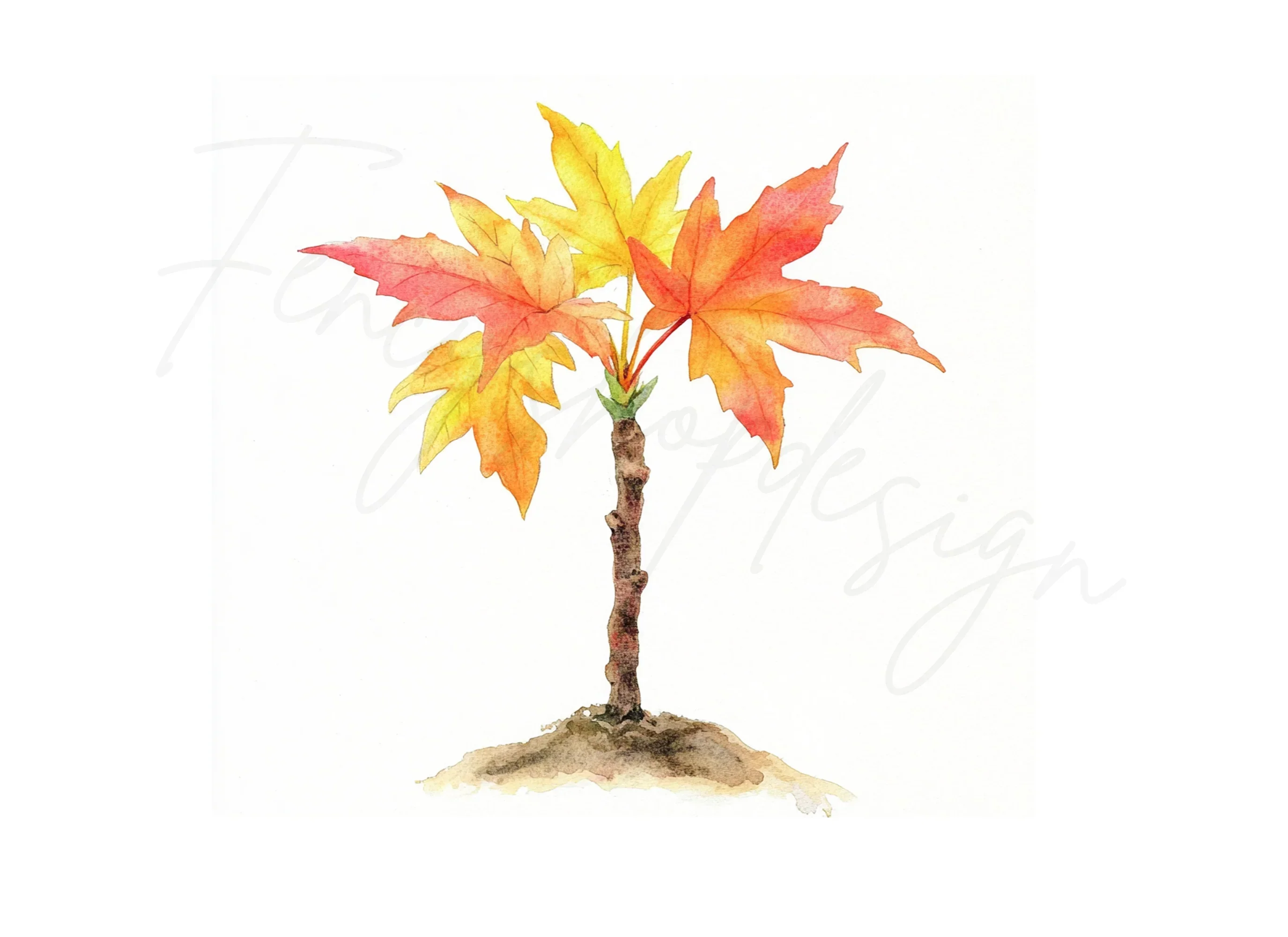 Autumn Maple Tree Clipart Bundle - Image 3