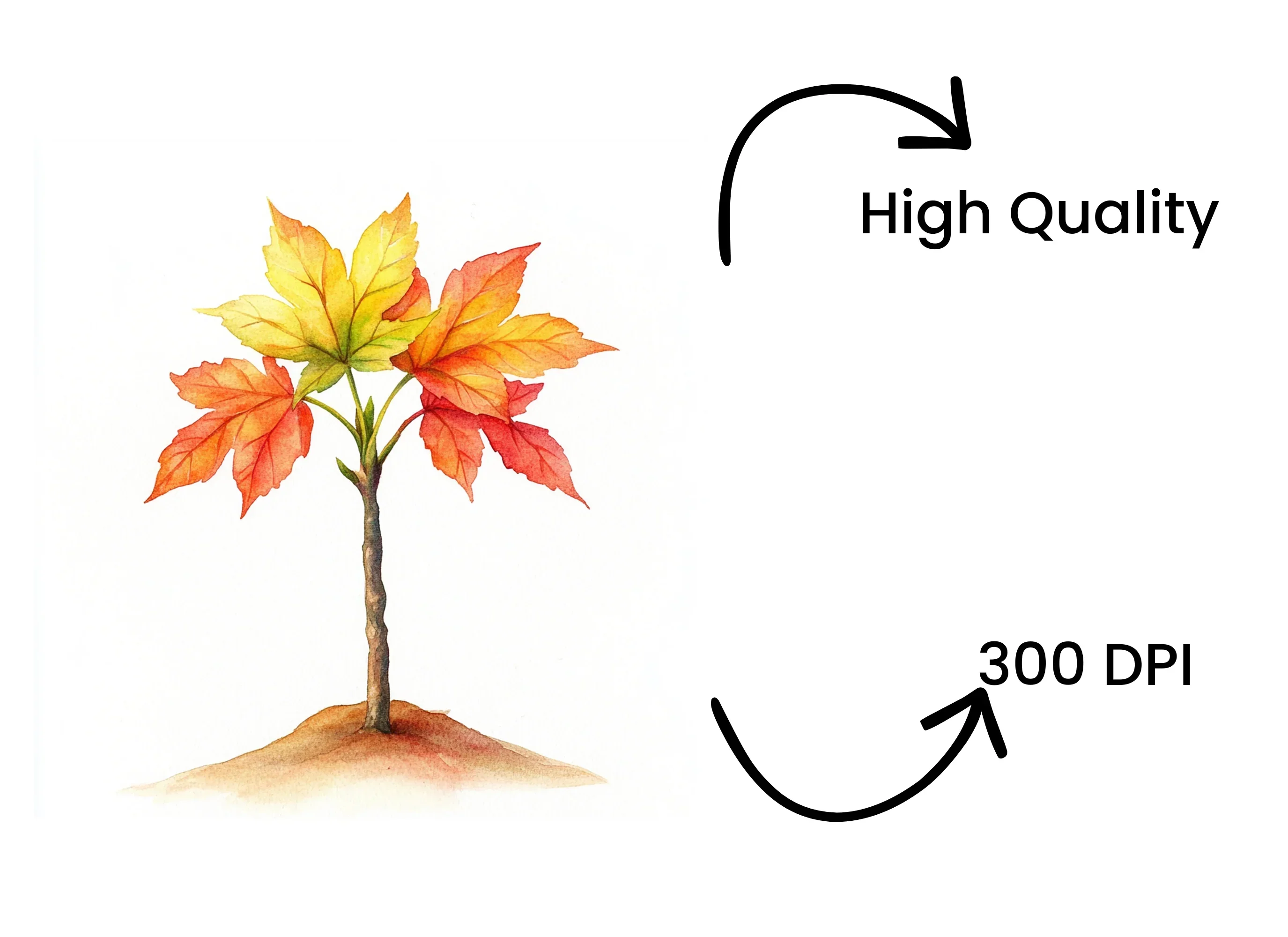 Autumn Maple Tree Clipart Bundle - Image 4