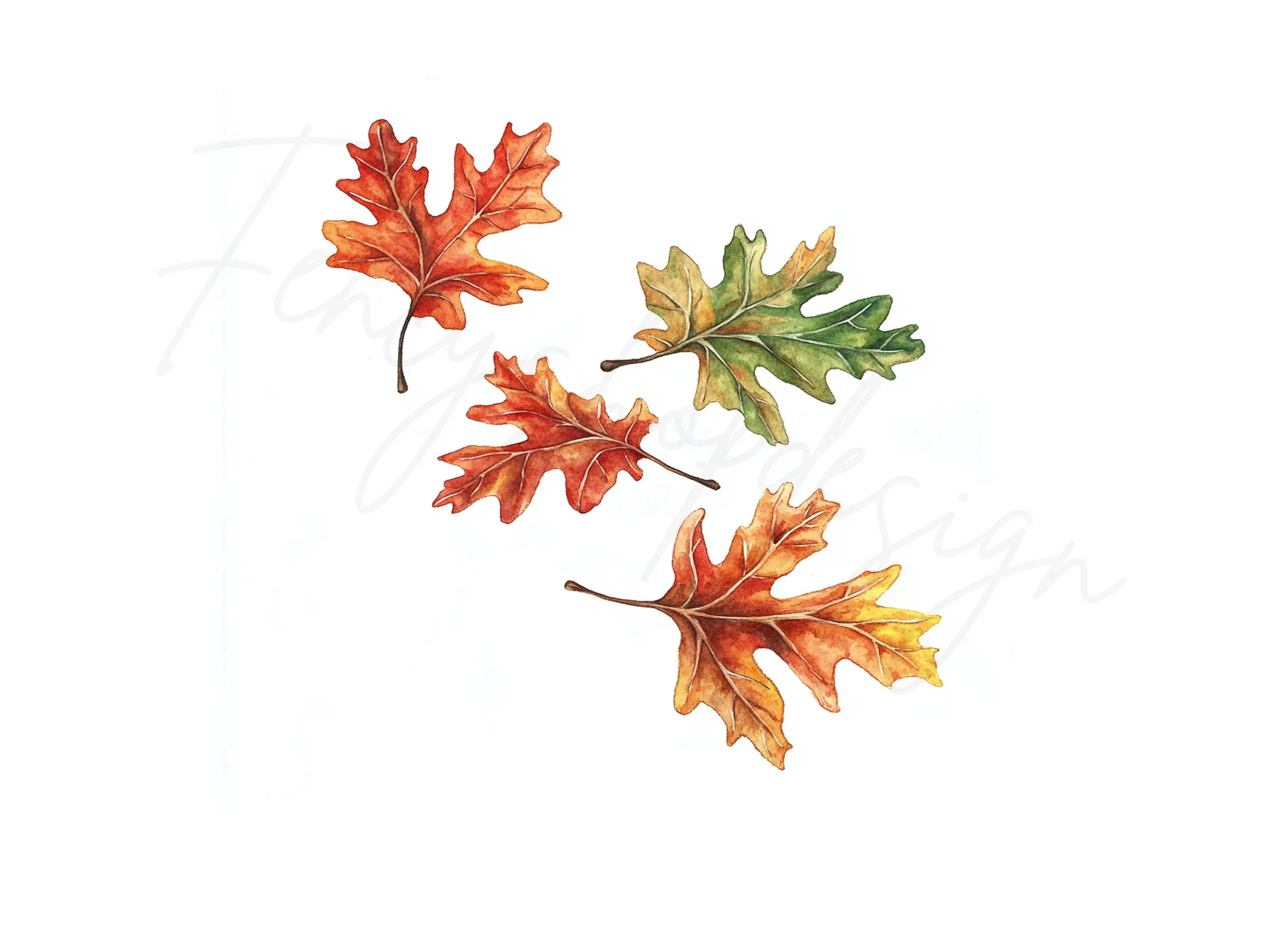 Autumn Oak Leaves Clipart Bundle - Image 2