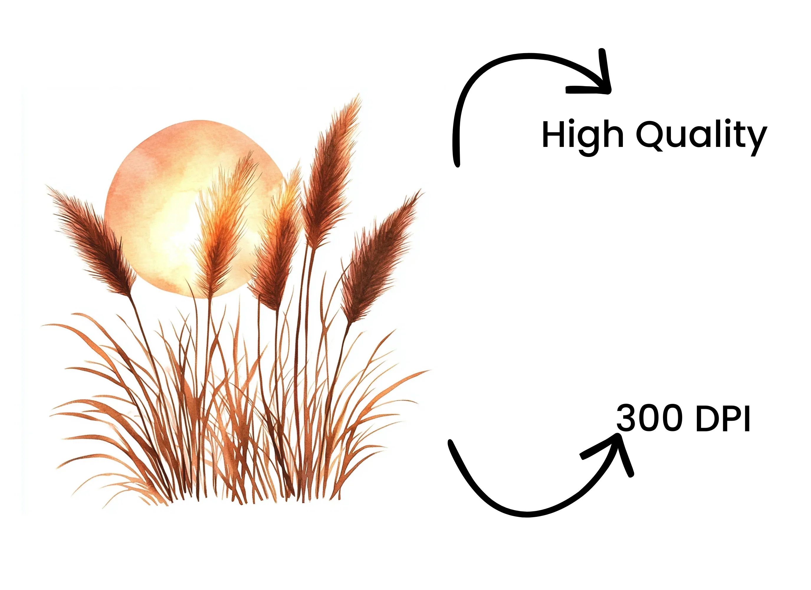 Autumn Pampas Grass Clipart Bundle - Image 4