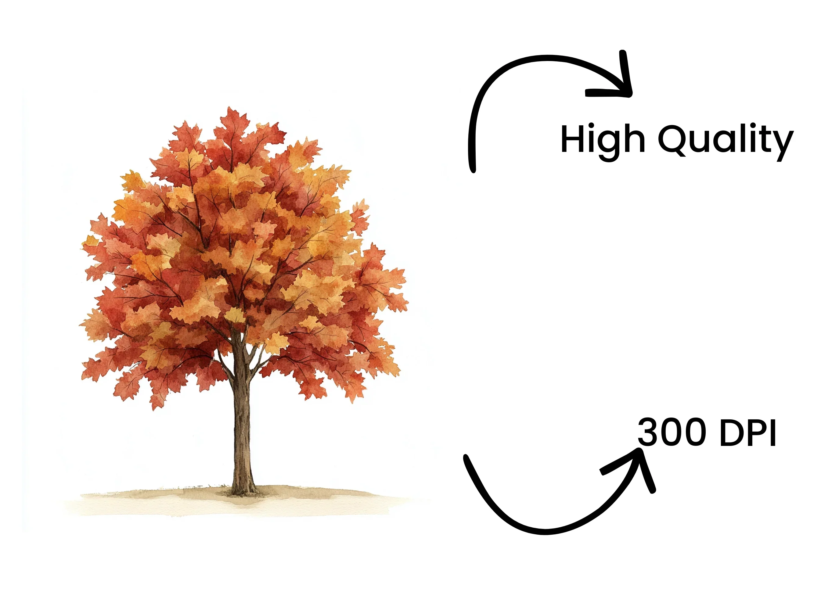 Autumn Trees Clipart Bundle - Image 4