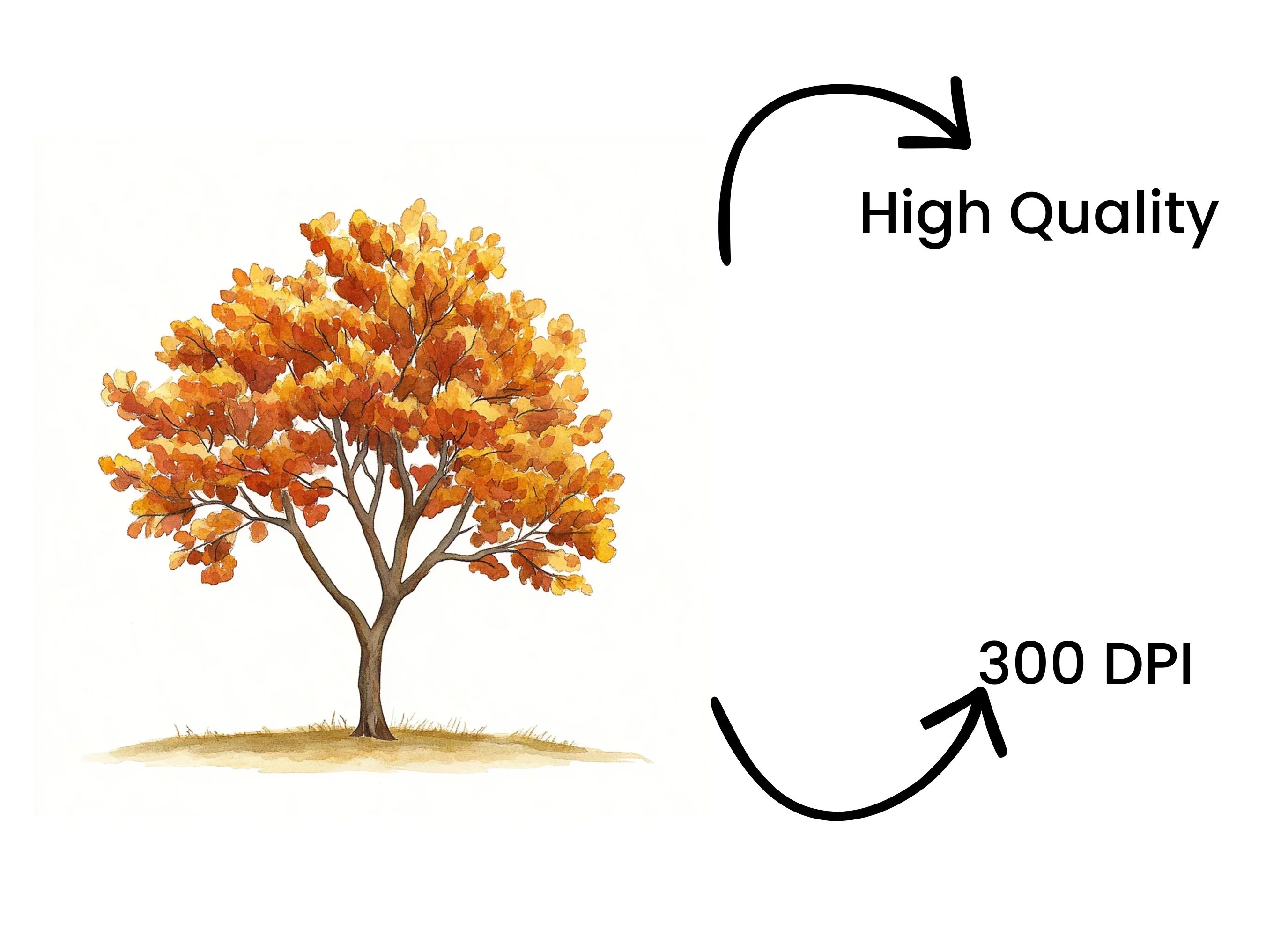 Autumn Trees Clipart Bundle - Image 4