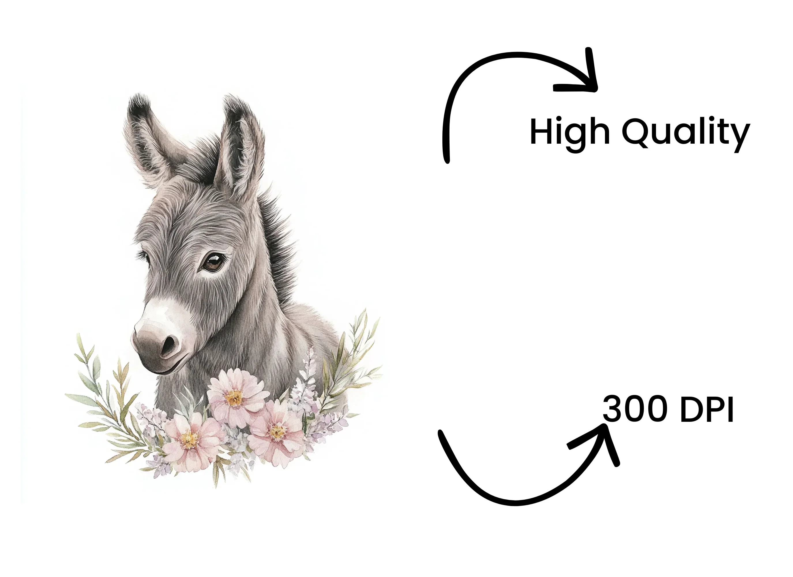 Baby Donkey Floral Accents Clipart Bundle - Image 4