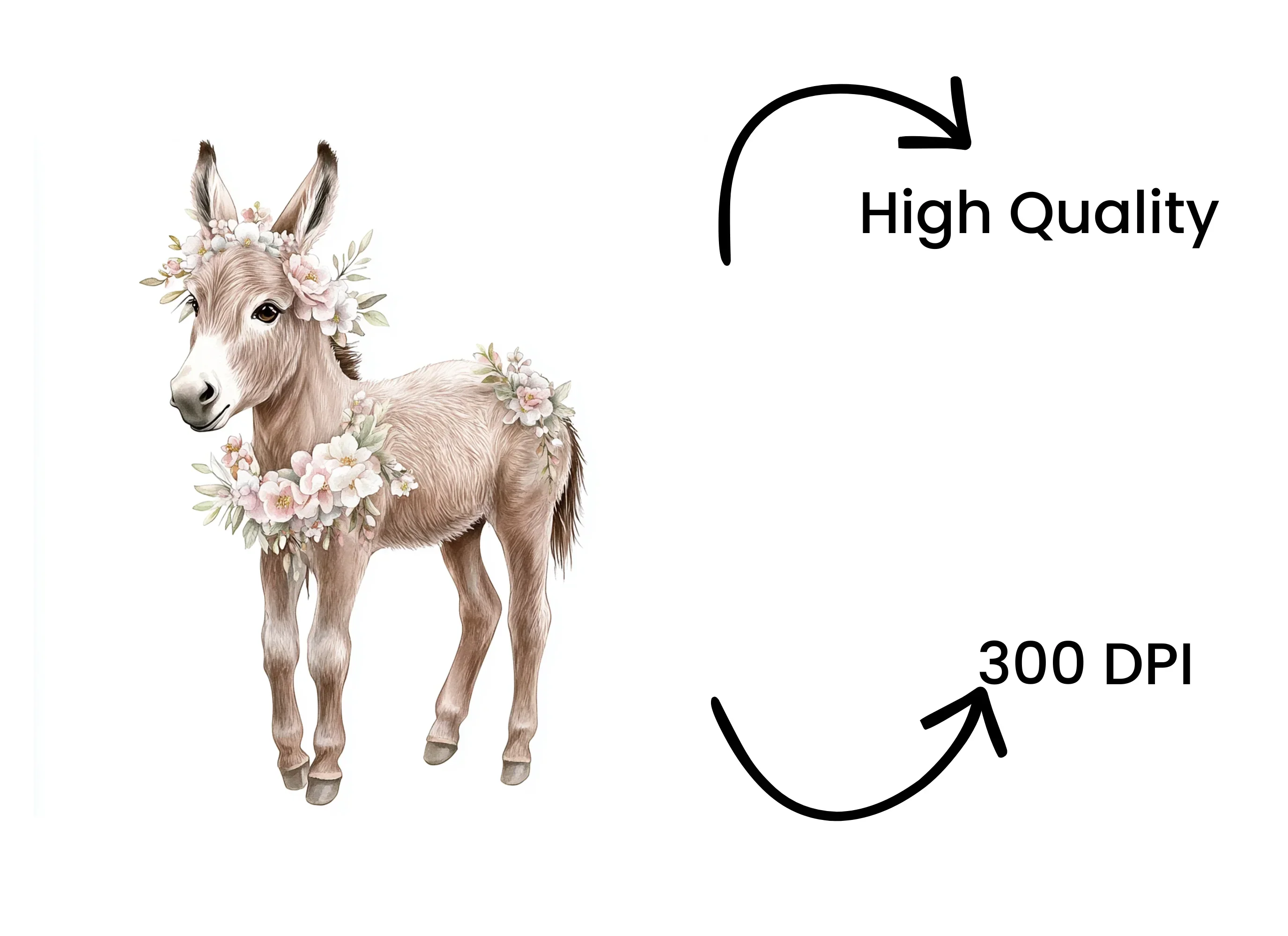 Baby Donkey Floral Wreath Clipart Bundle - Image 4