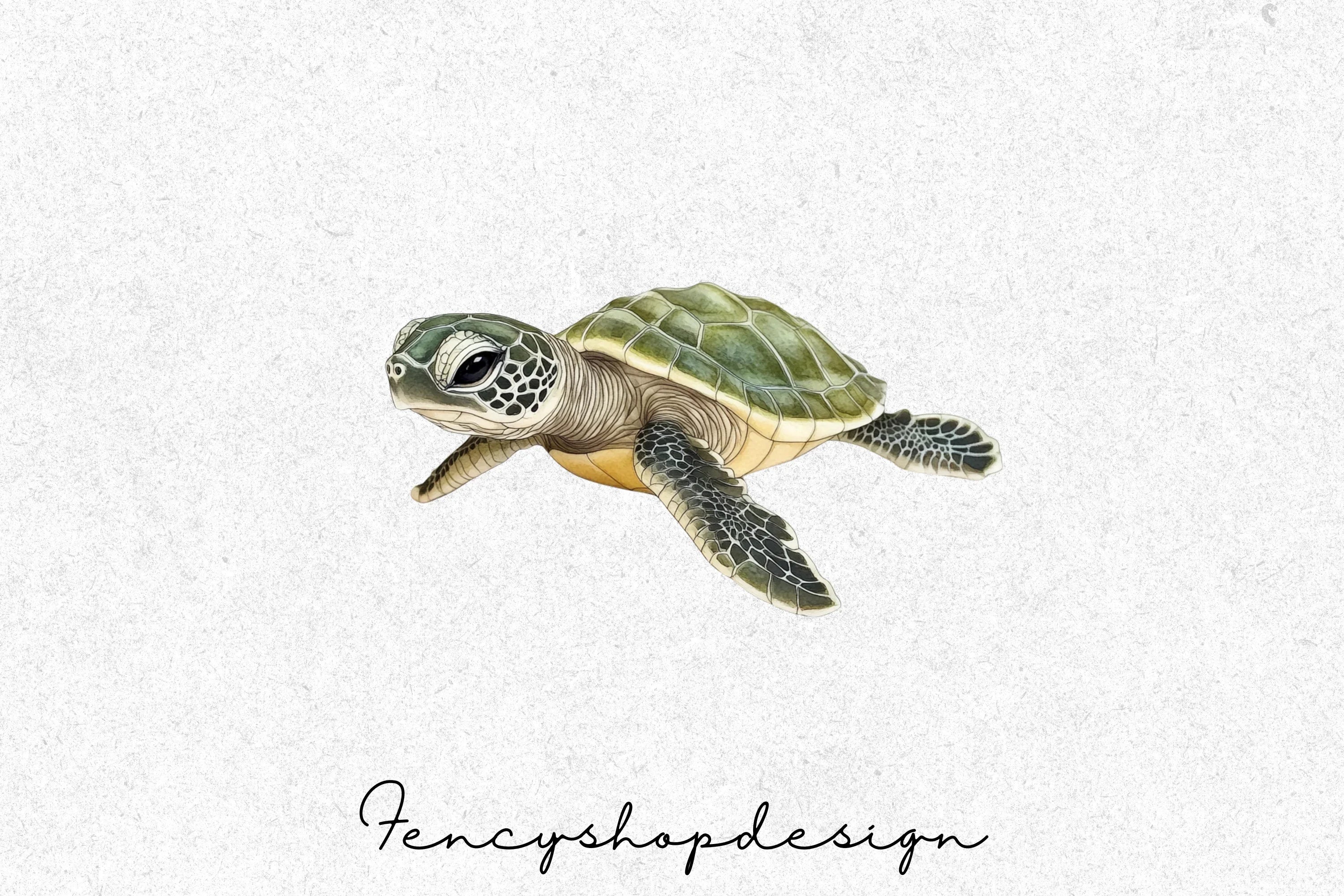 Baby Sea Turtle Clipart Bundle - Image 4