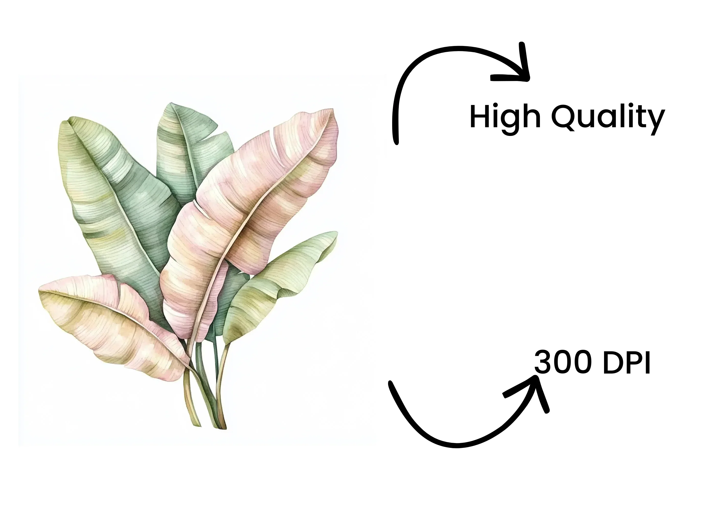 Banana Leaf Clipart Bundle - Image 4