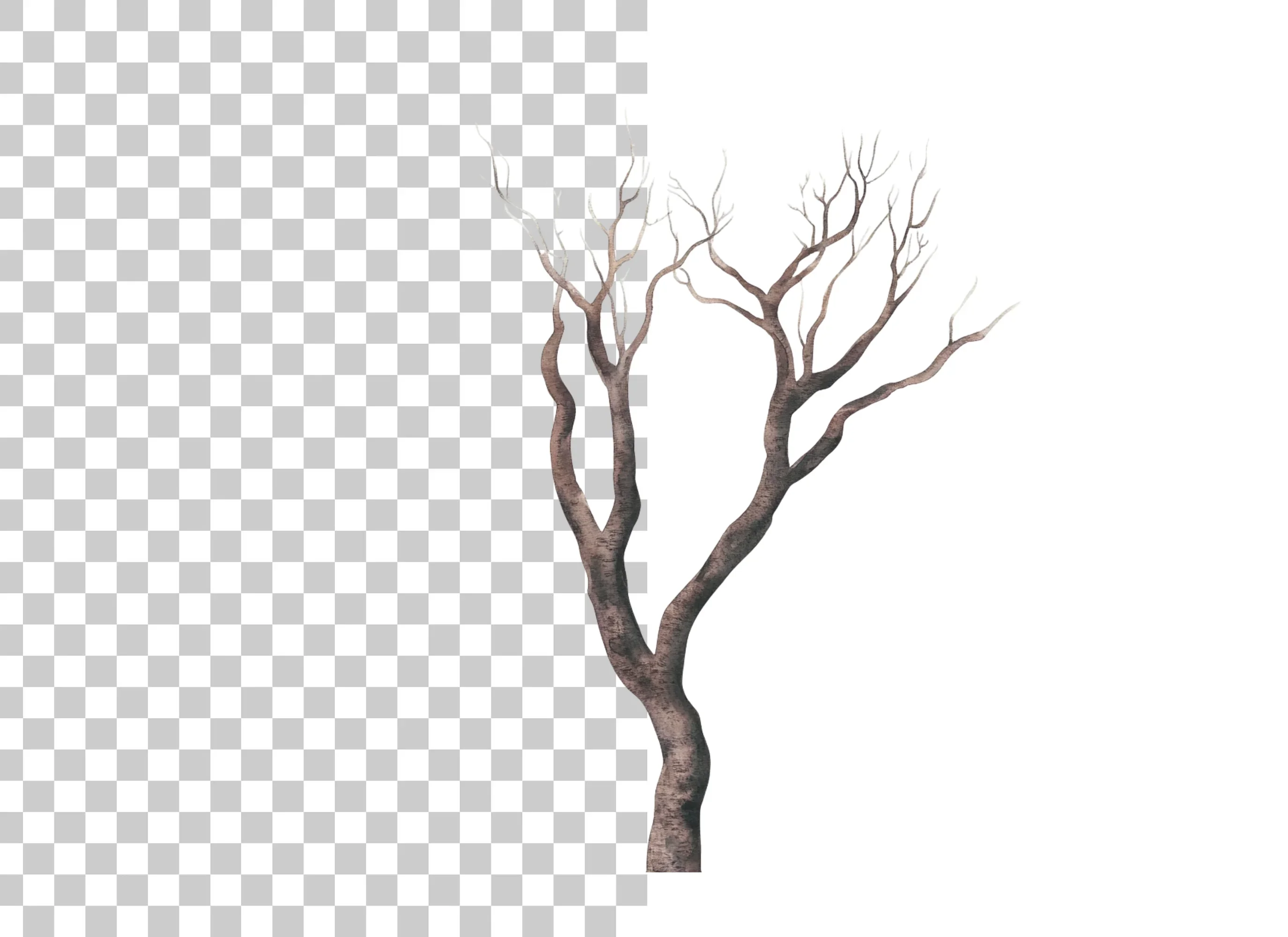 Bare Tree Branches Clipart Bundle - Image 2